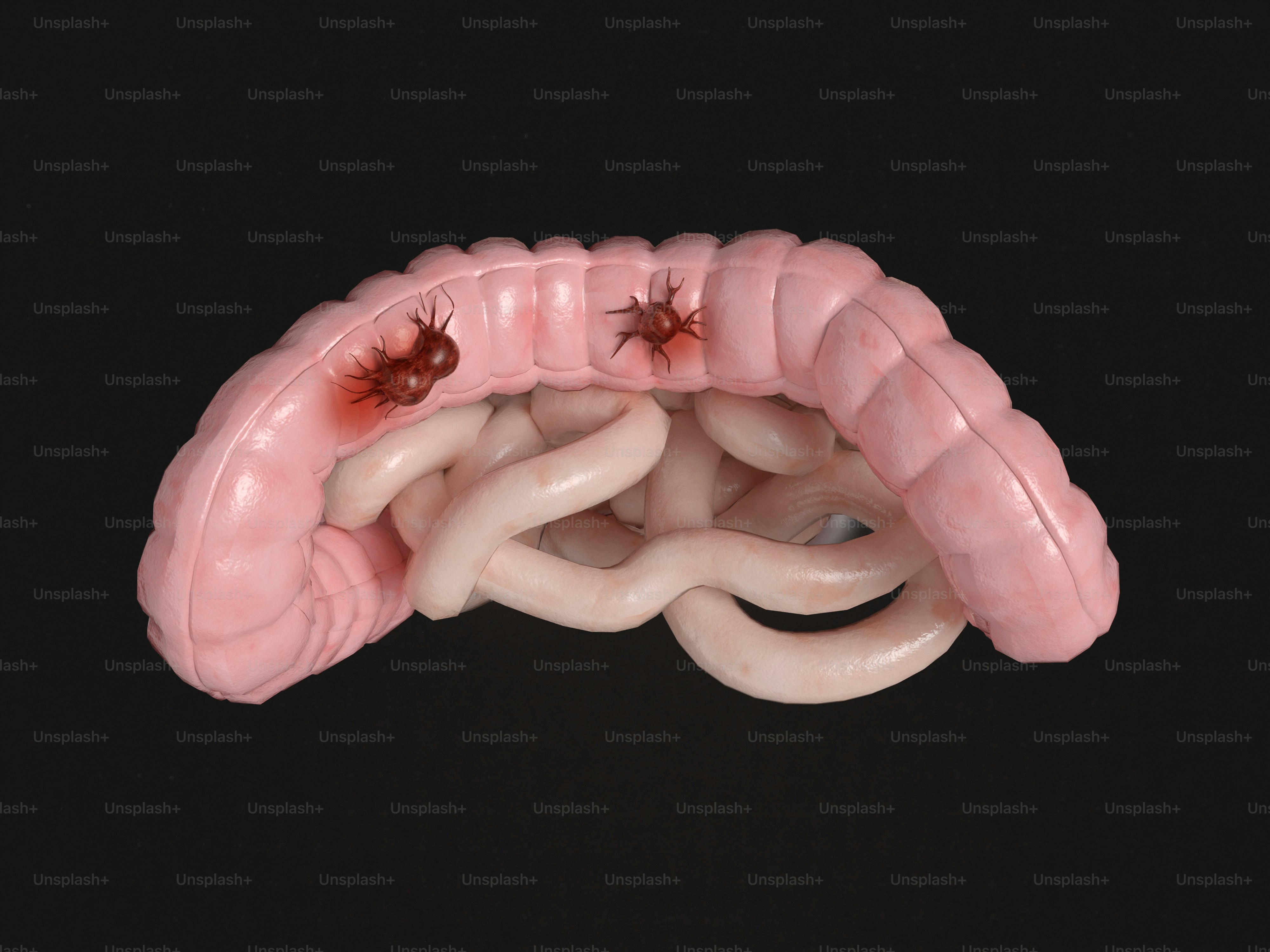 A close up of a human stomach on a black background