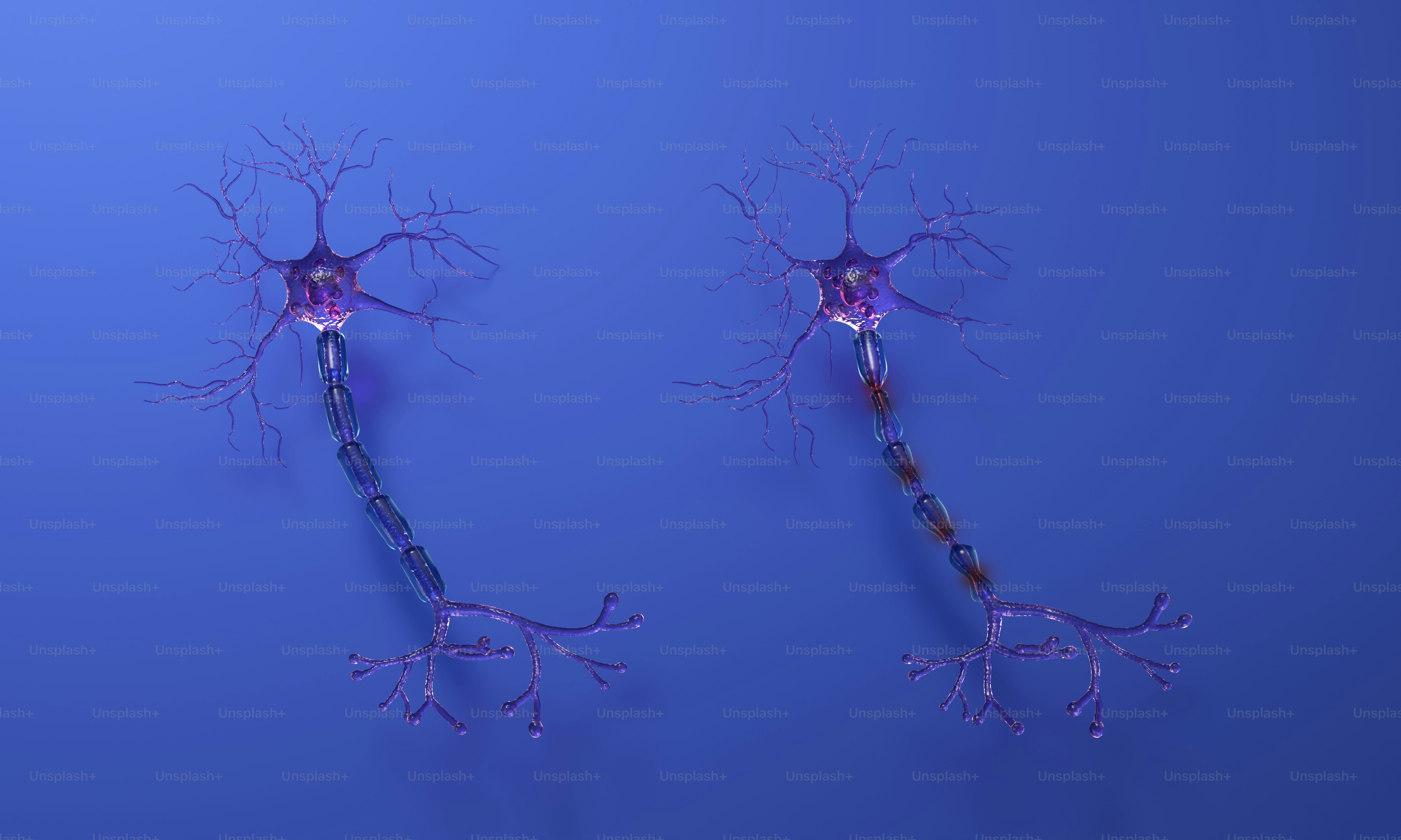 A group of three different types of plants