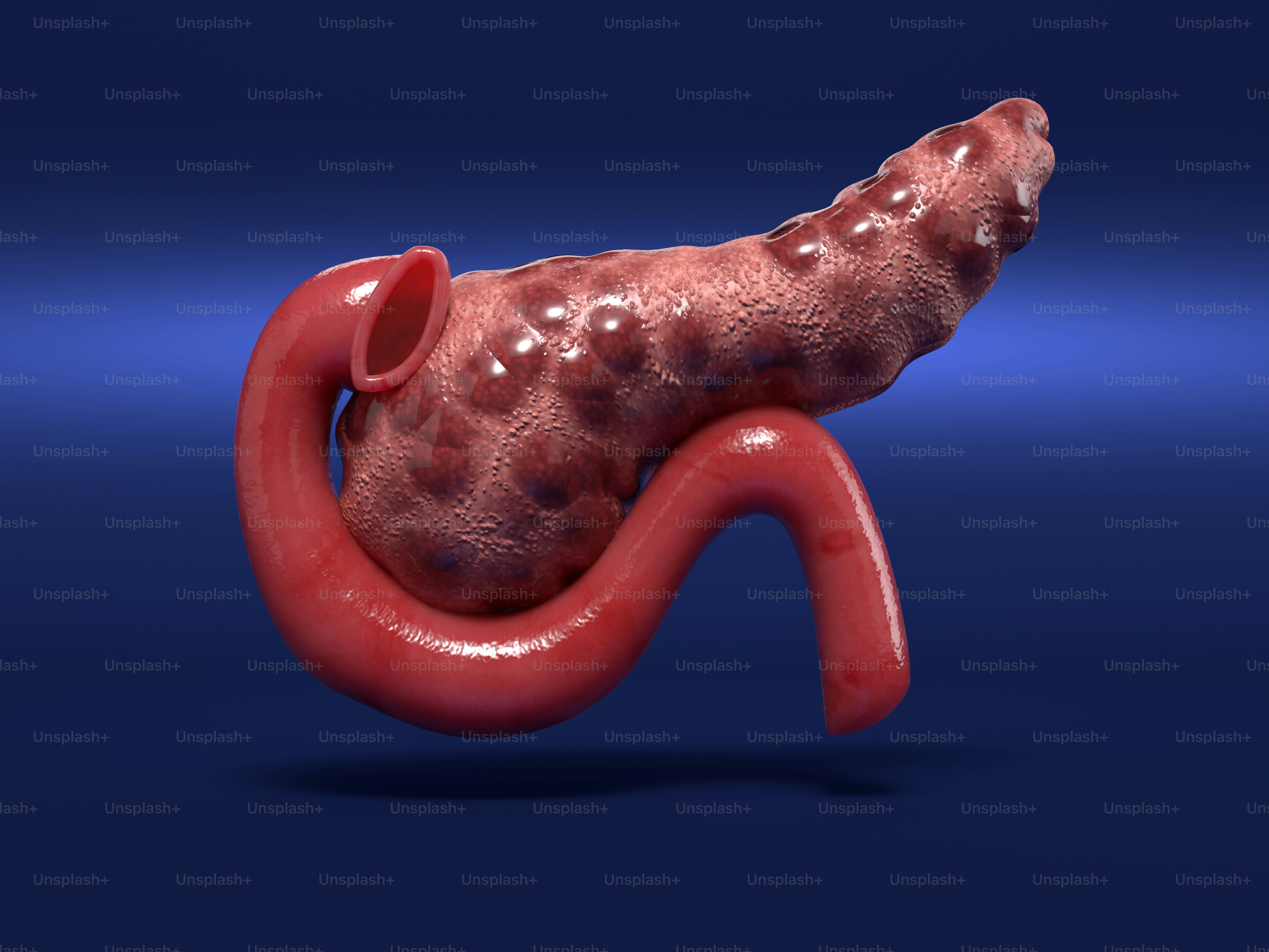 A 3D image of a stomach with a small amount of flesh on it