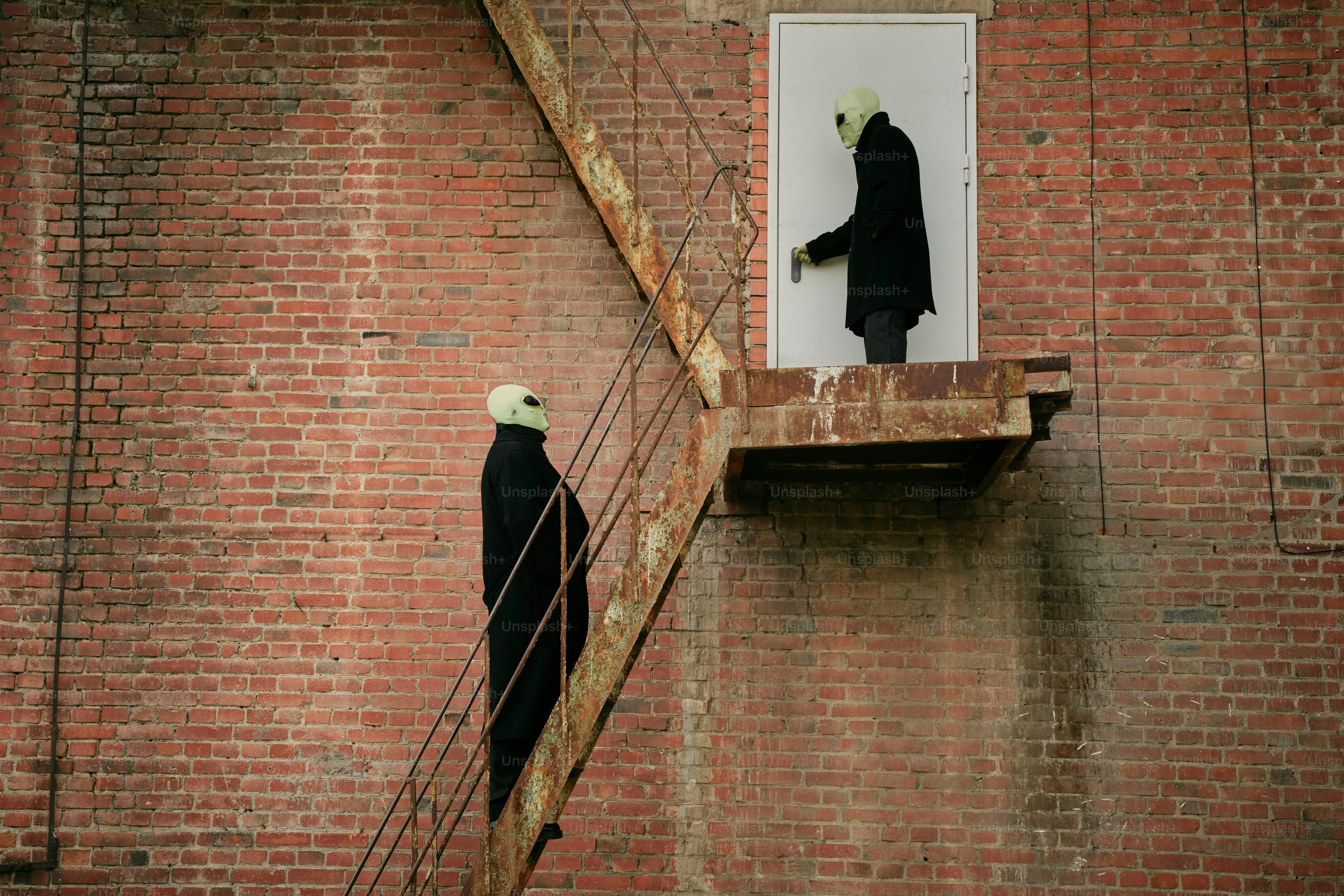 Two black and white birds standing on a brick wall