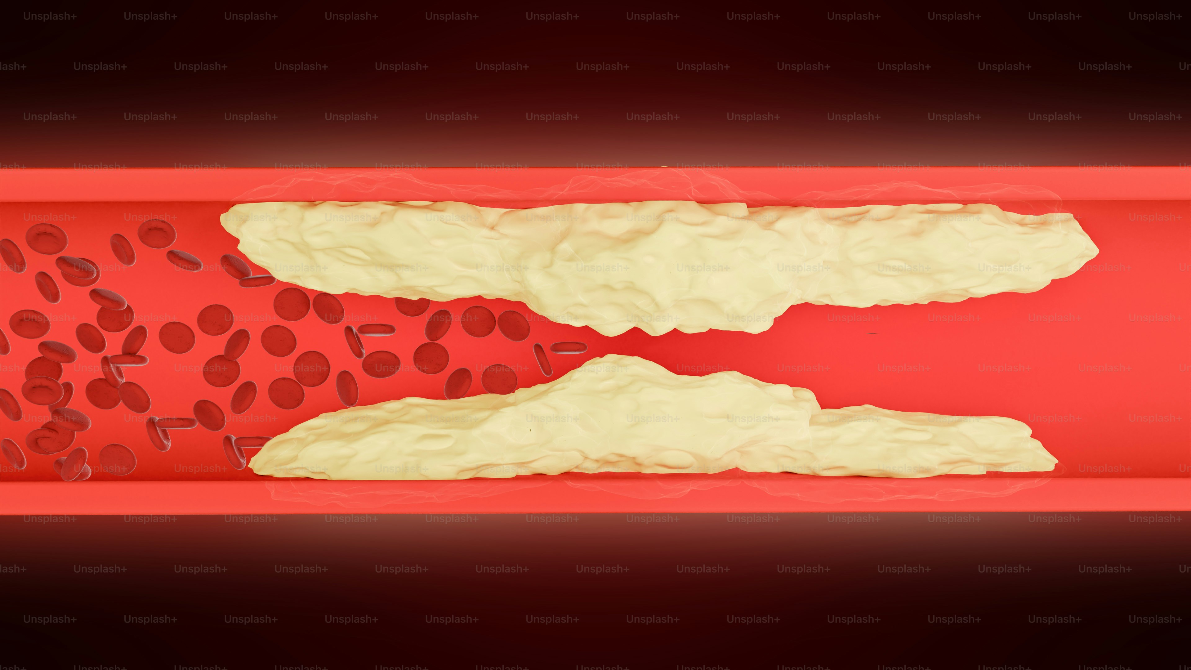 premium_photo-1719363746099-7b82ef36ada9?ixid=M3wxMjA3fDB8MXxzZWFyY2h8MTd8fHJpYmJvbiUyMHRhaWwlMjB0cmFjZSUyMHJpZmxlfGVufDB8fHx8MTc2Mjc5ODI5OHww\u0026ixlib=rb-4.1.0