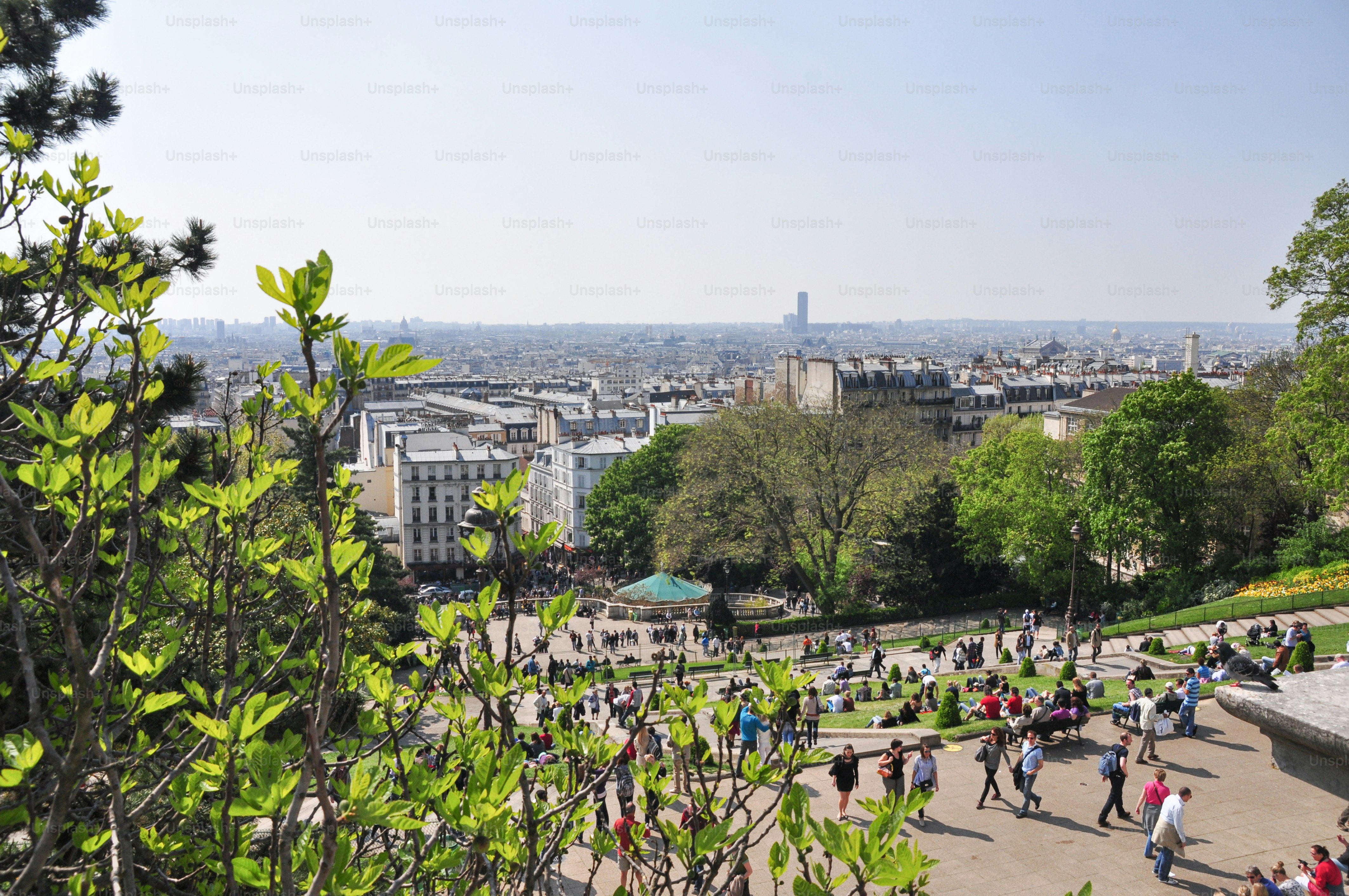 A large group of people walking around a park