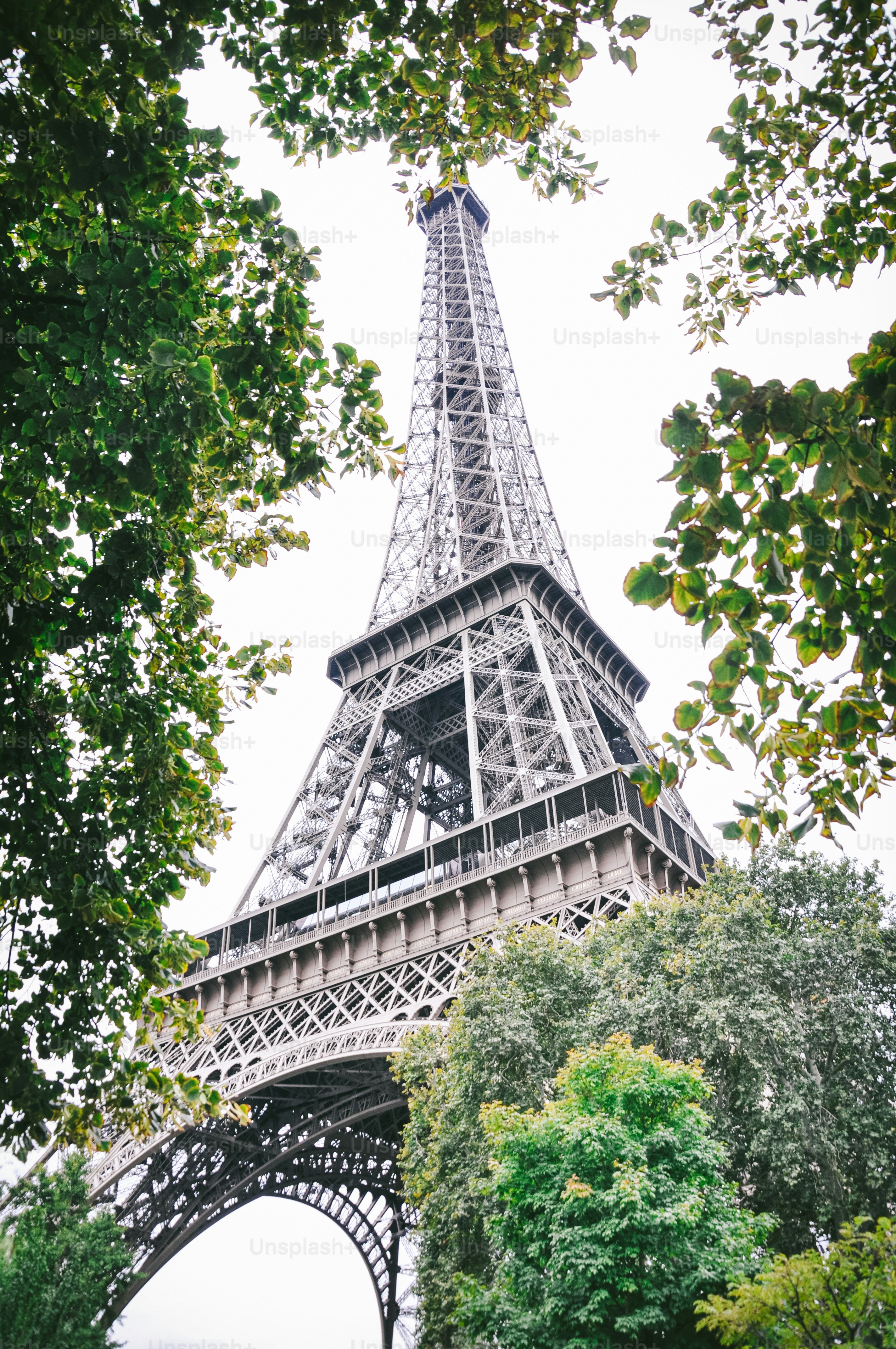 Una veduta della Torre Eiffel attraverso gli alberi