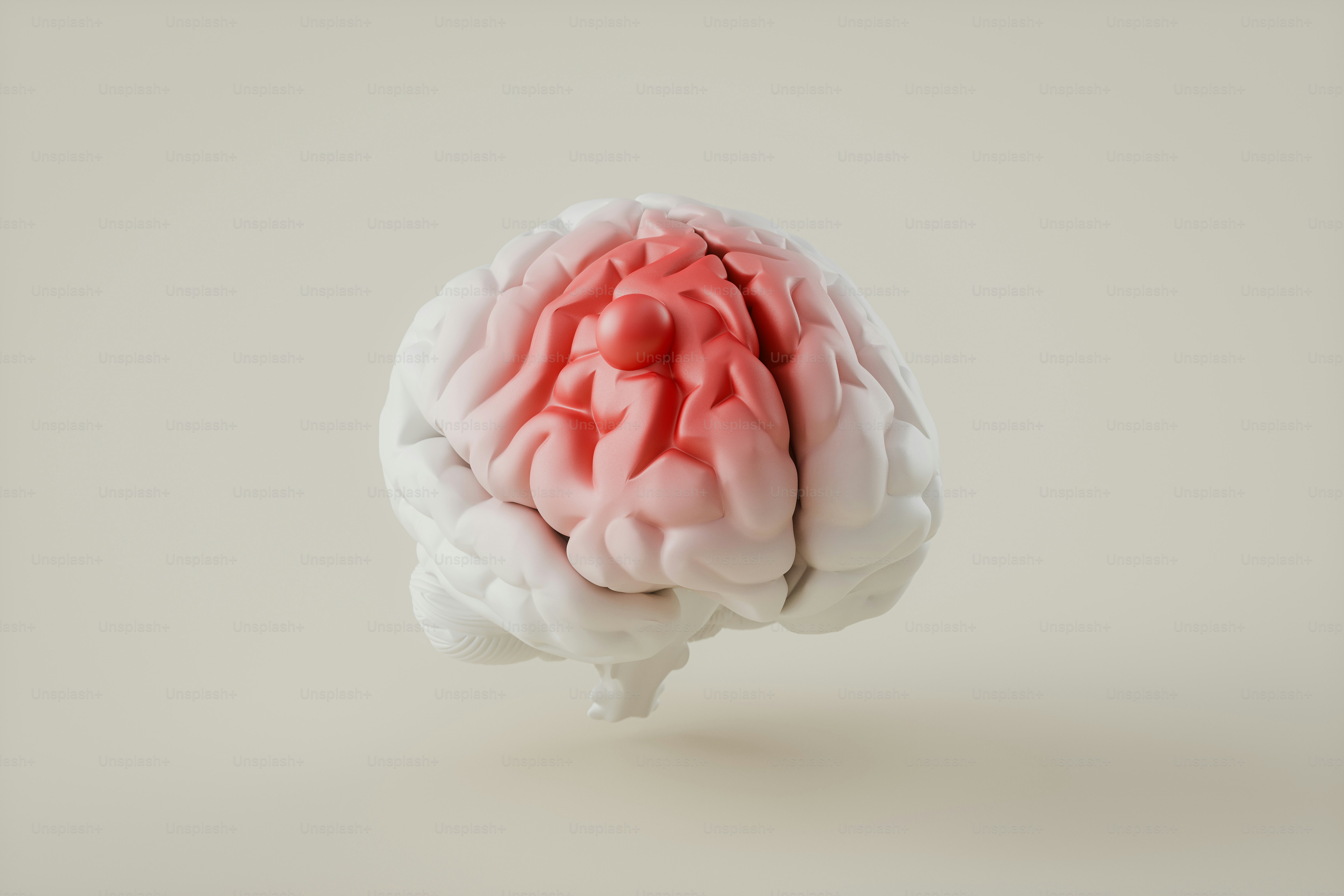 Un cervello rosa e bianco su sfondo bianco