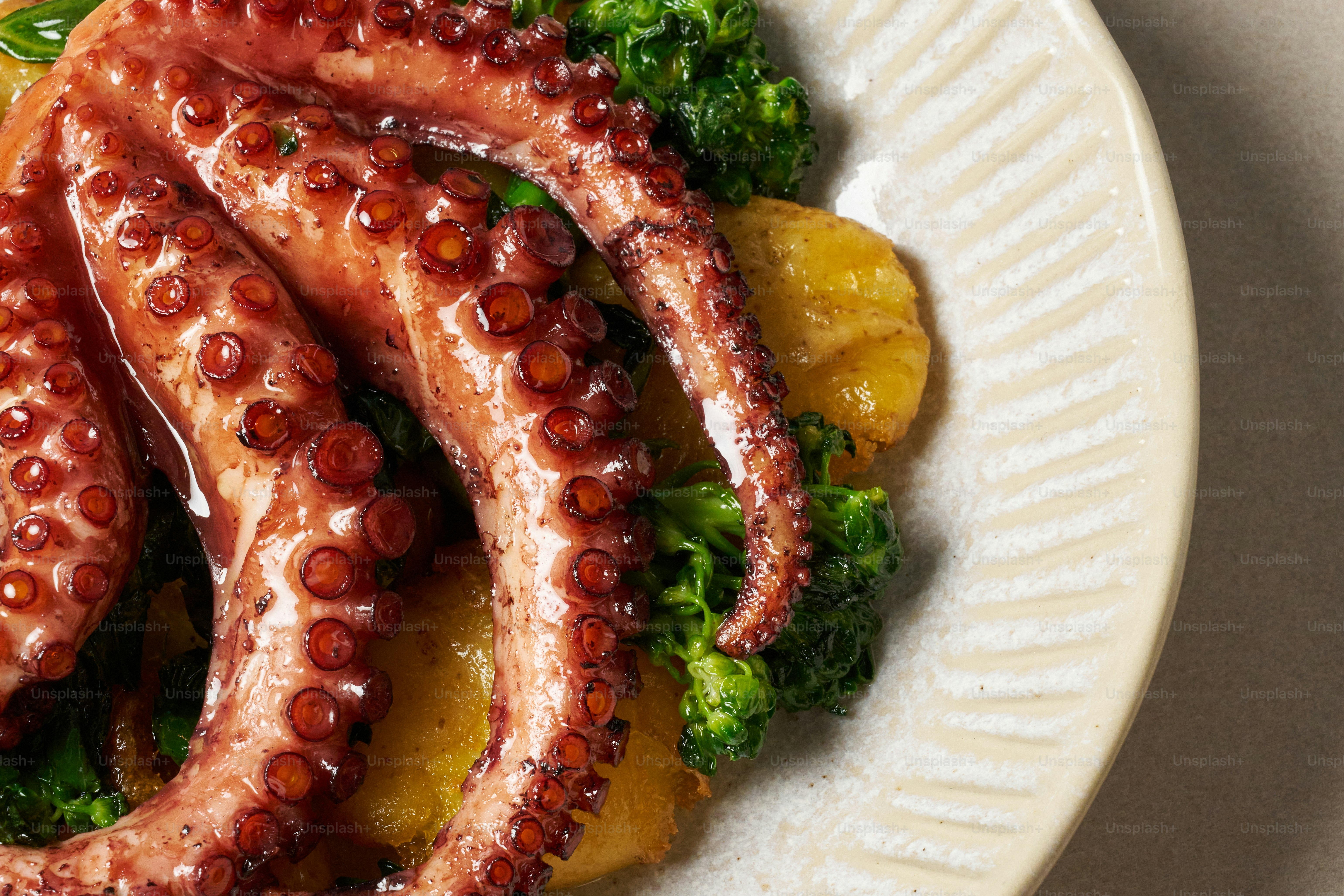 A white plate topped with octopus and broccoli