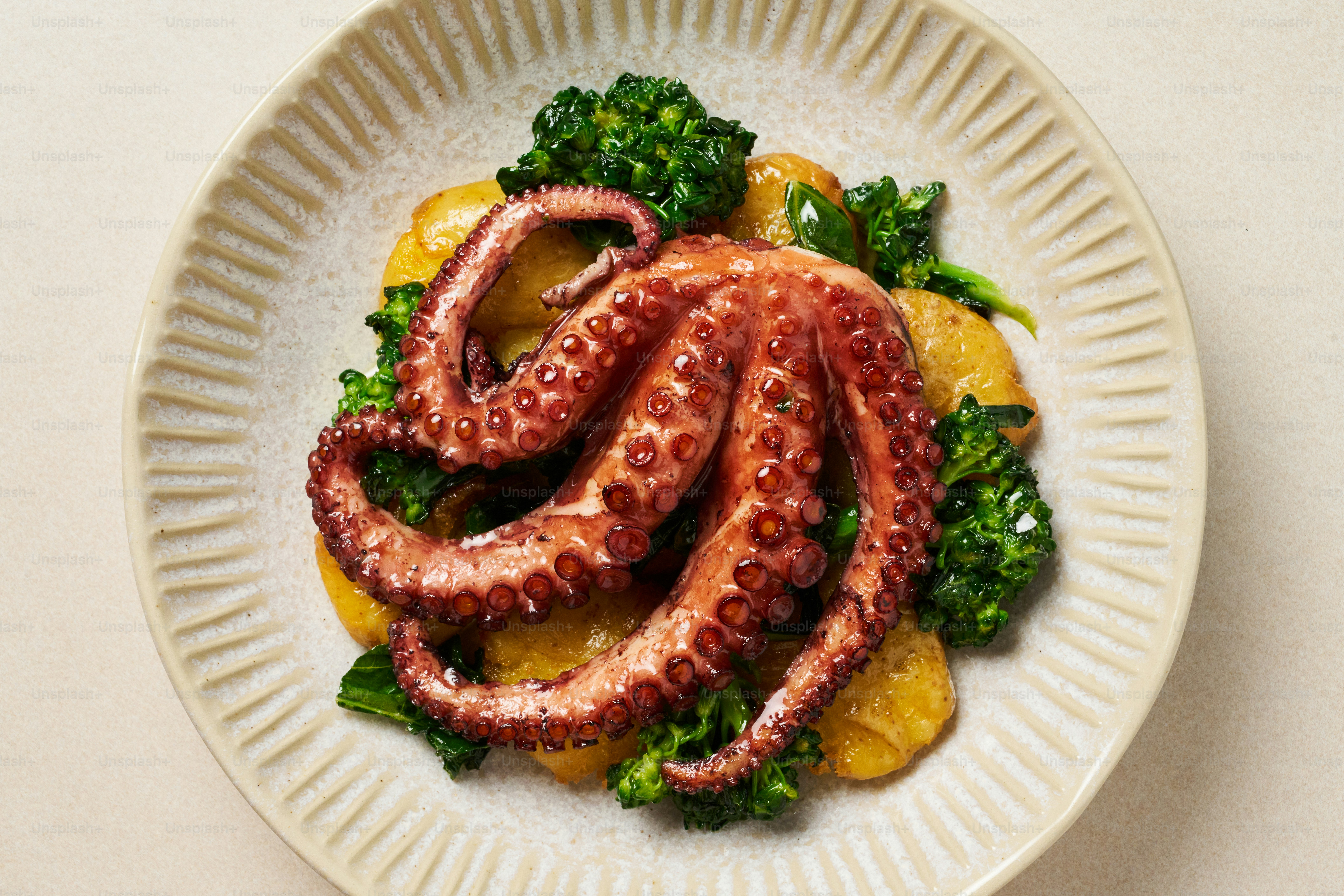 A white plate topped with an octopus and broccoli