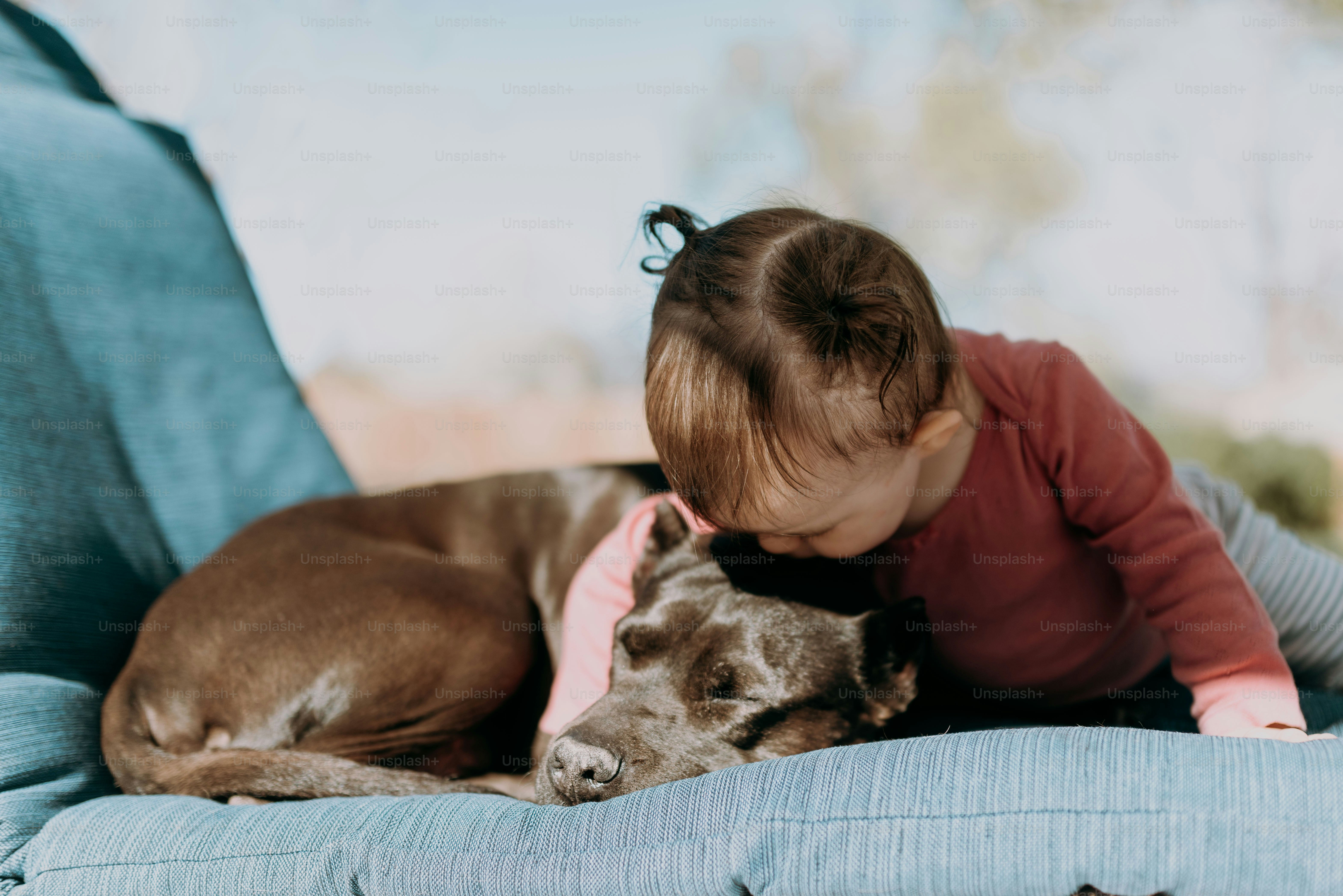 Un bebé y un perro acostados en un sofá