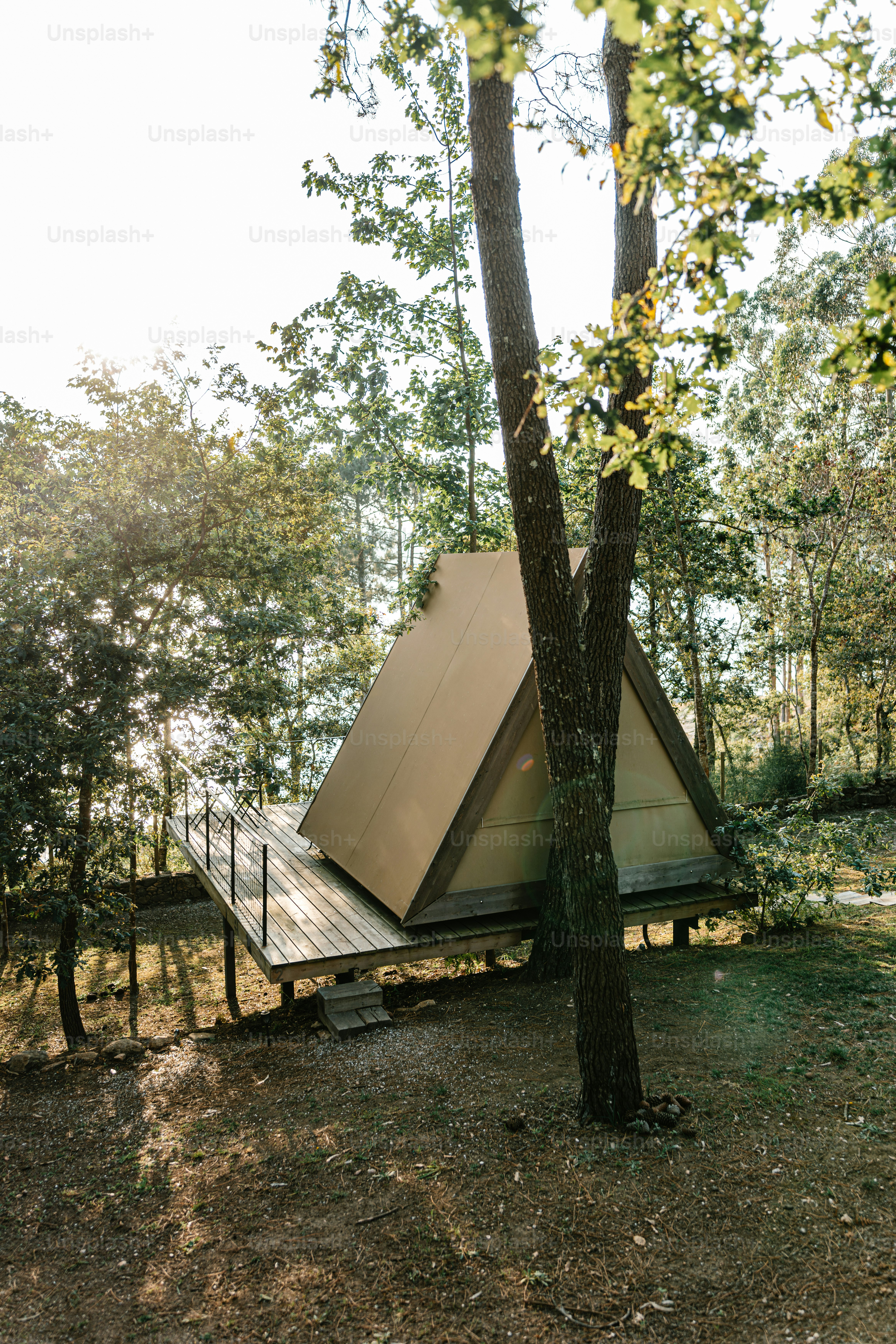 A tent set up in the middle of a forest