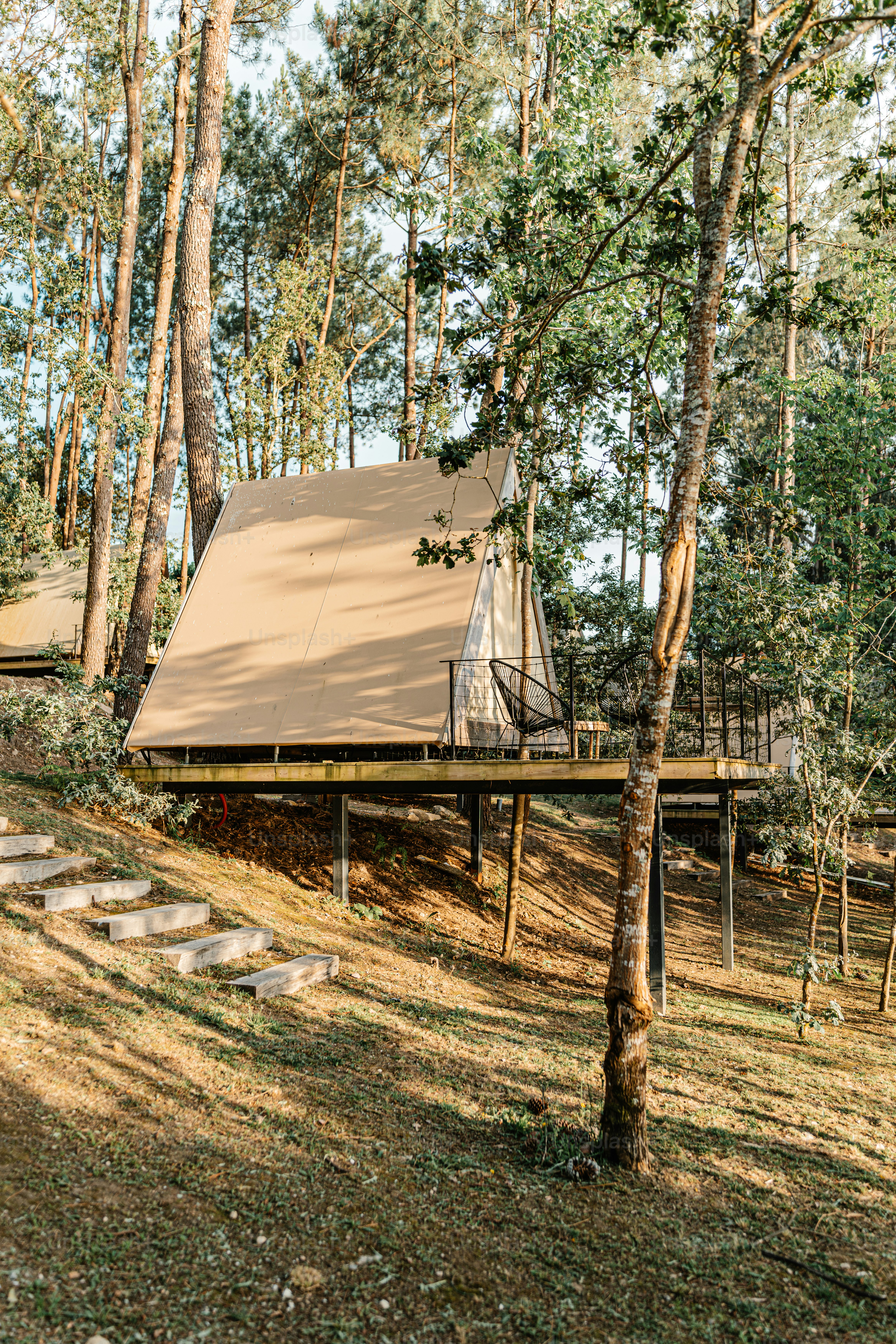 A cabin in the woods with steps leading up to it