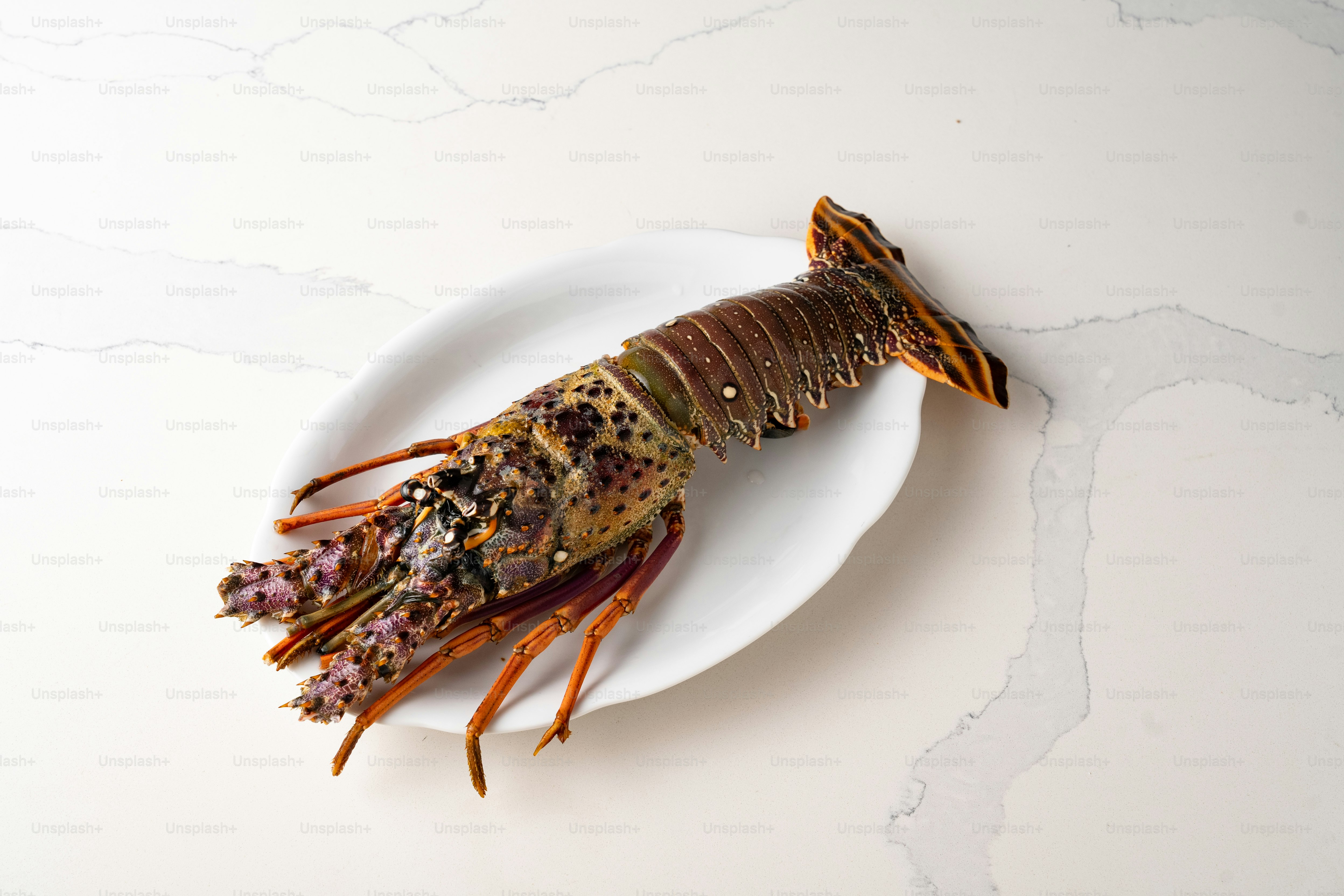 A cooked shrimp is on a white plate