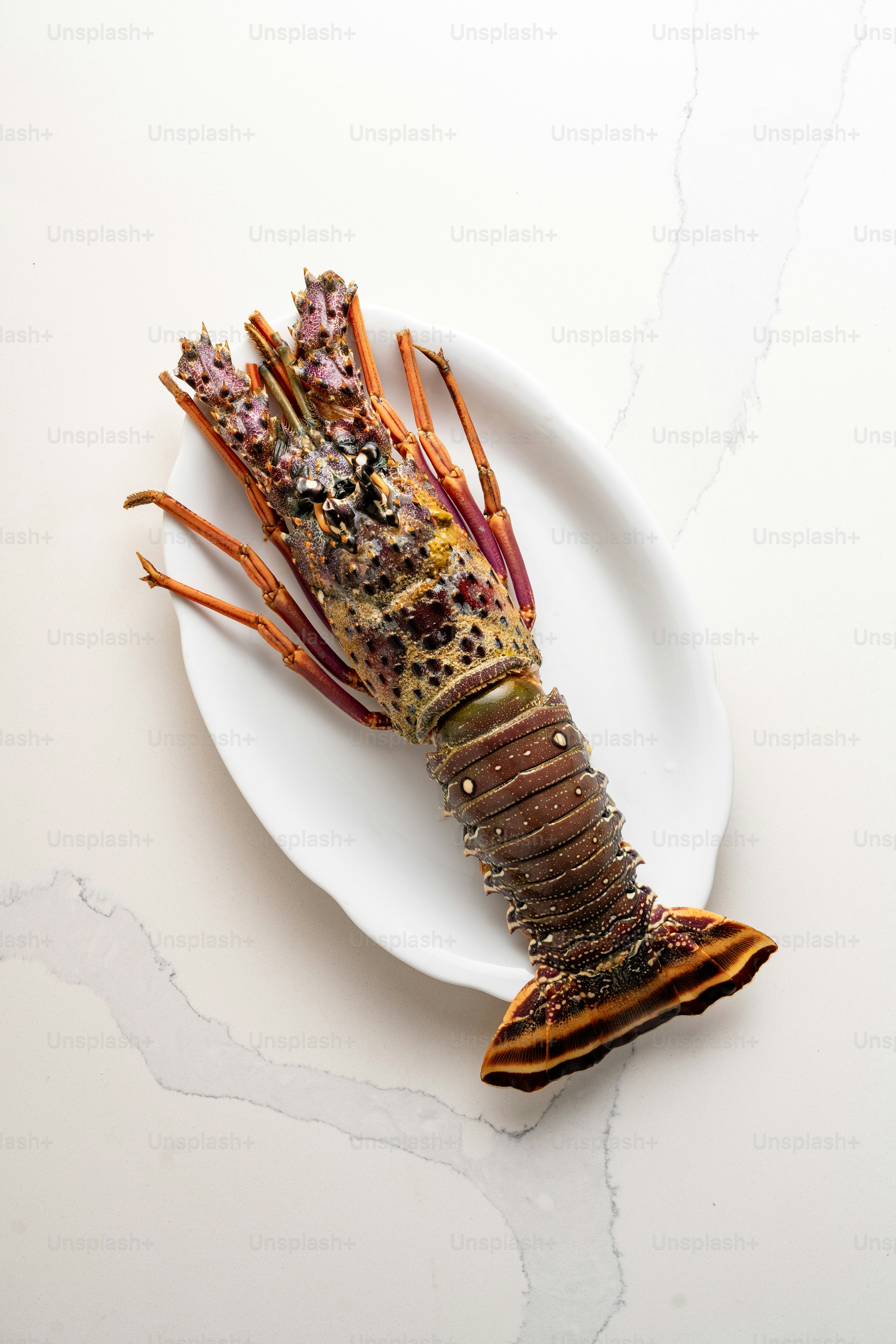 A white plate topped with a lobster on top of a table