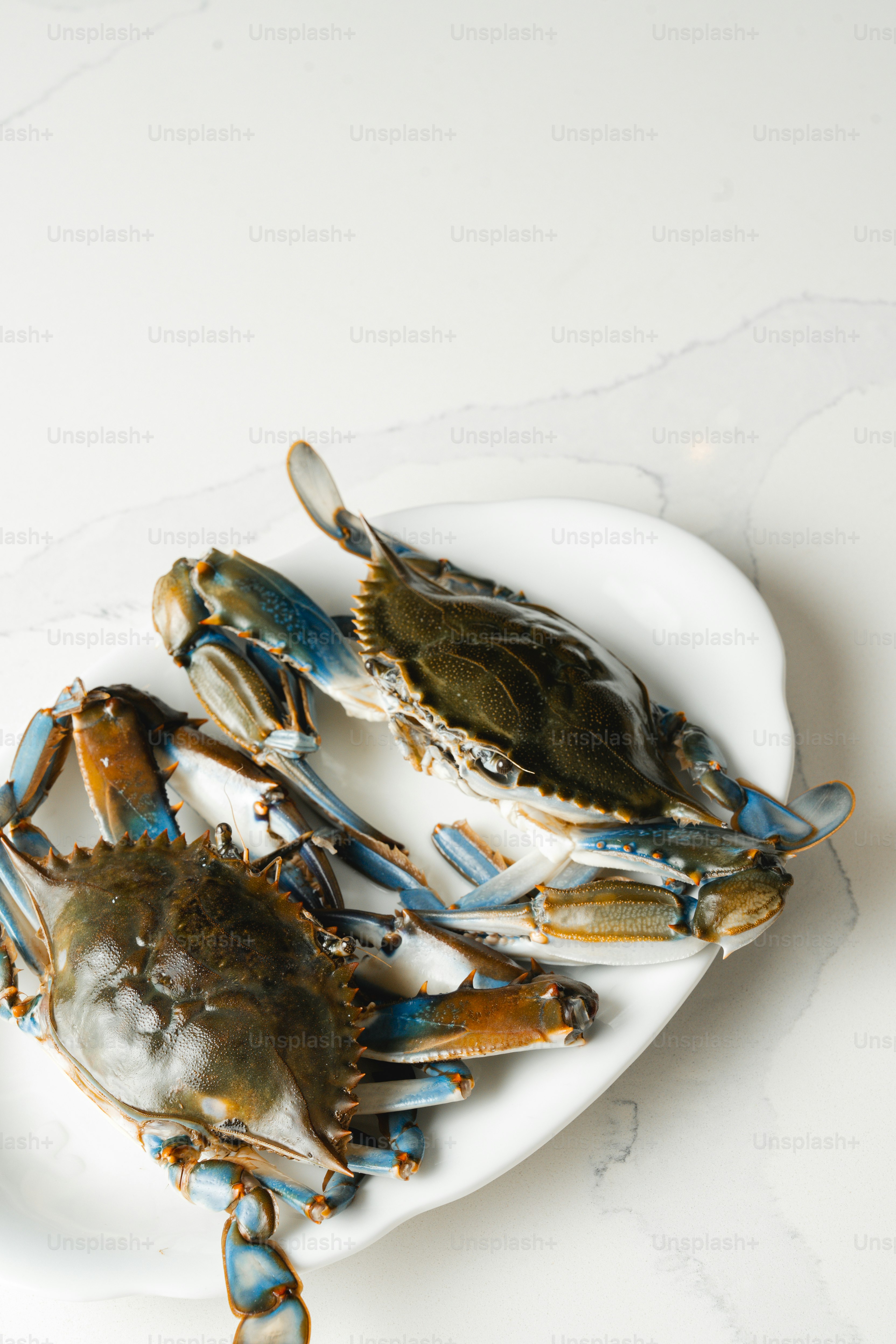 Three blue crabs sitting on a white plate