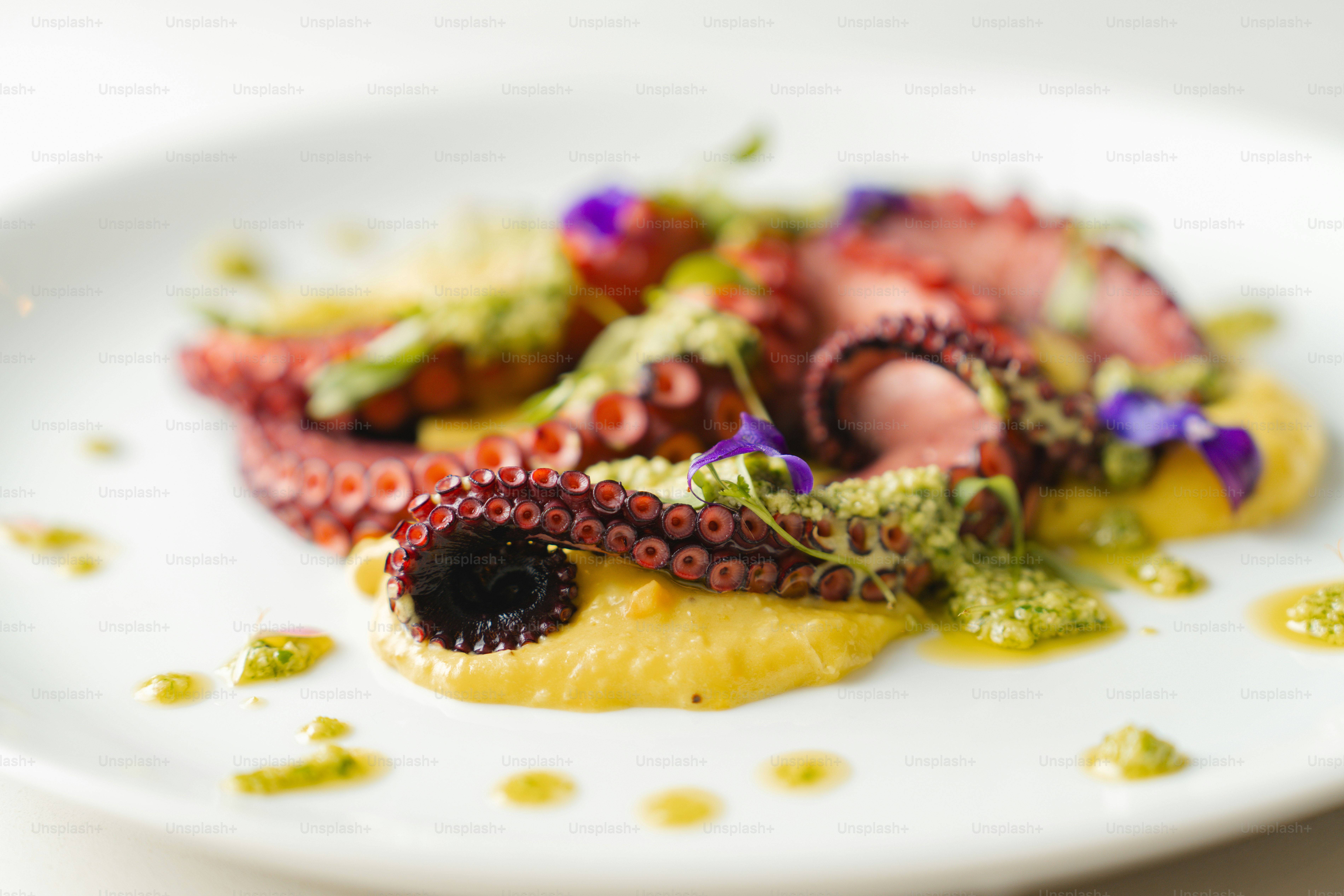 A white plate topped with an octopus and other food
