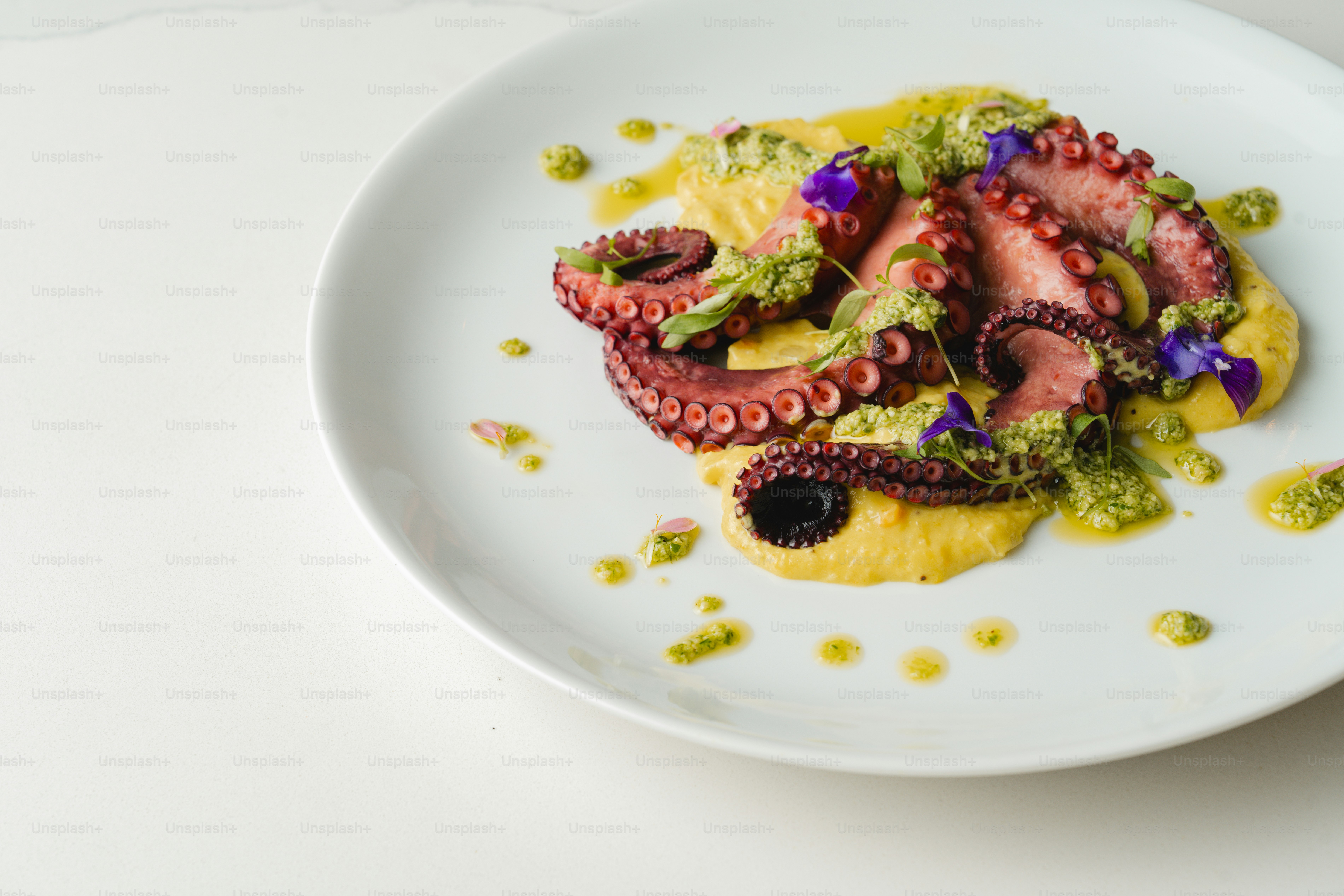 A white plate topped with an octopus covered in sauce