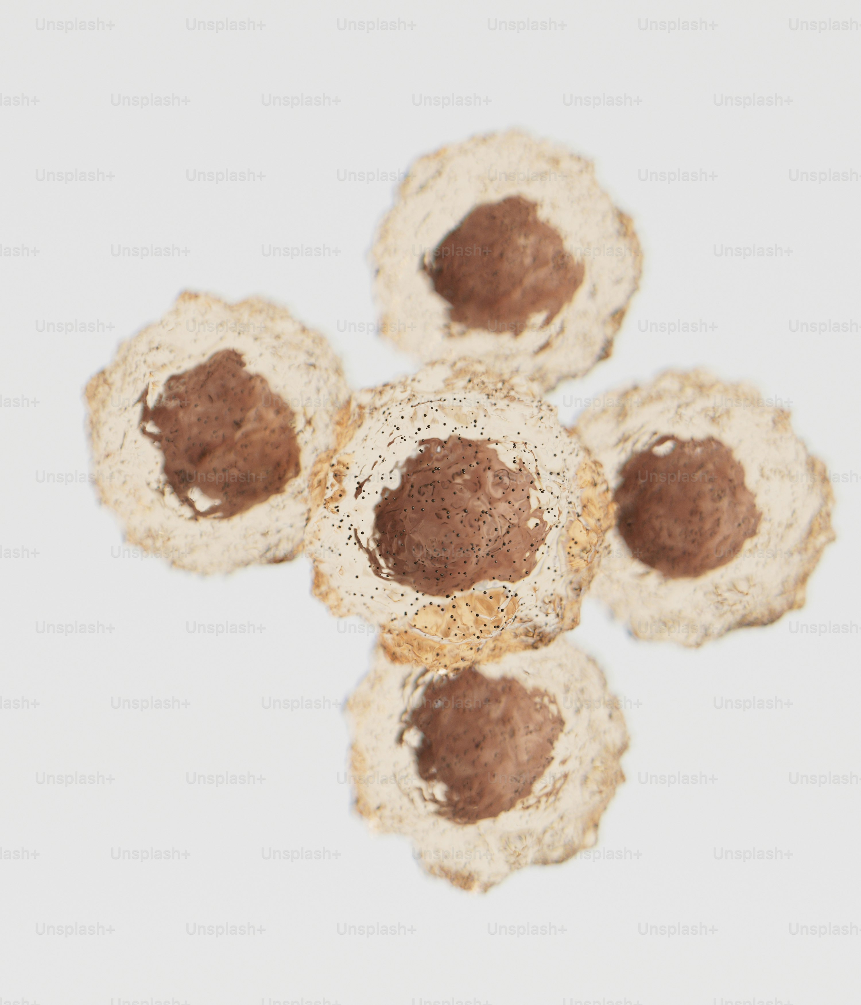 A group of small balls of brown and white yarn