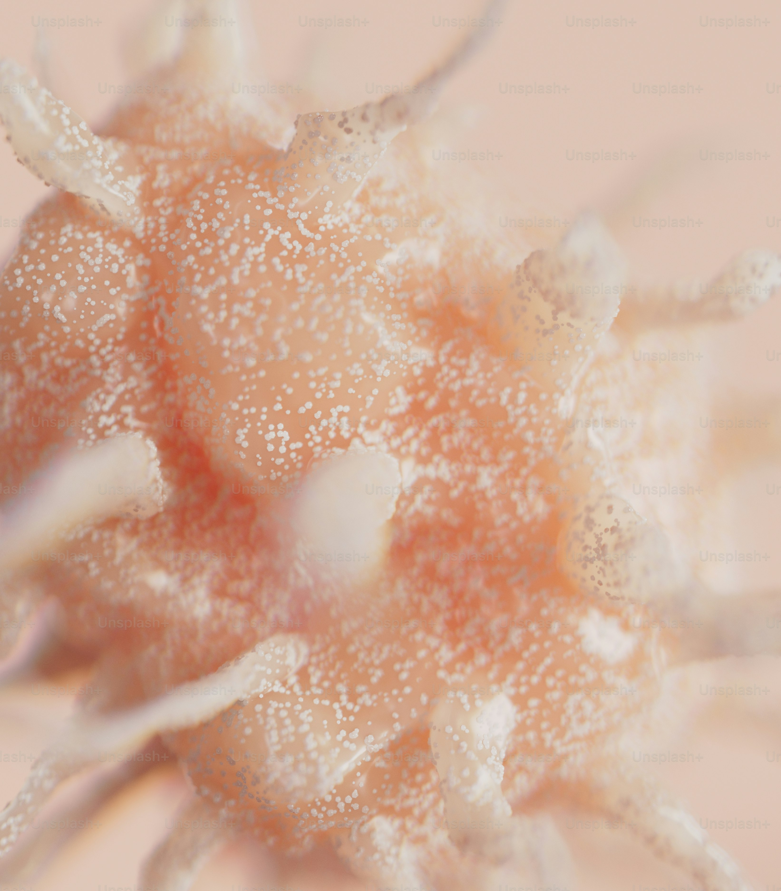 A close up view of a white substance