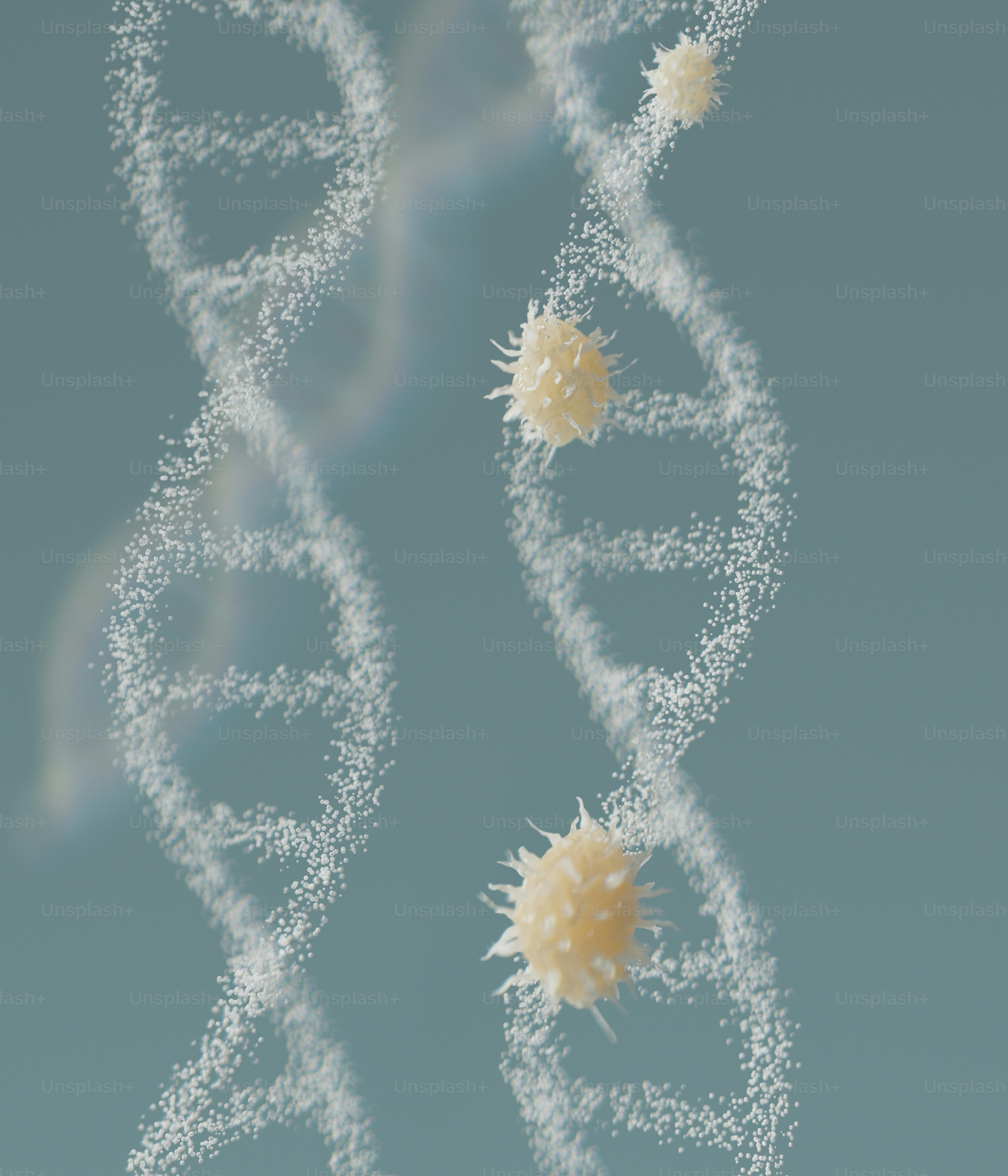 Cancer cells on DNA