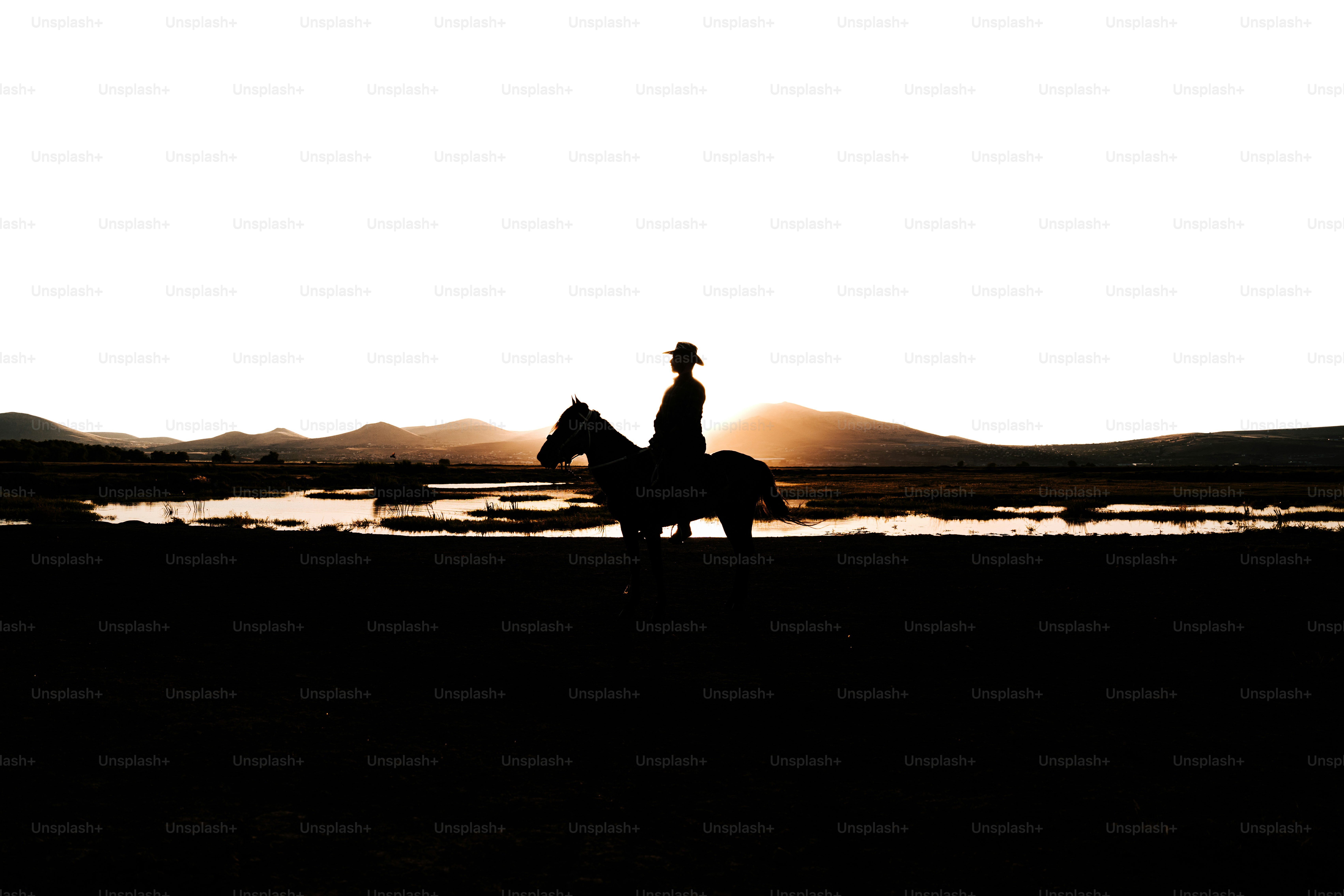 A silhouette of a person riding a horse