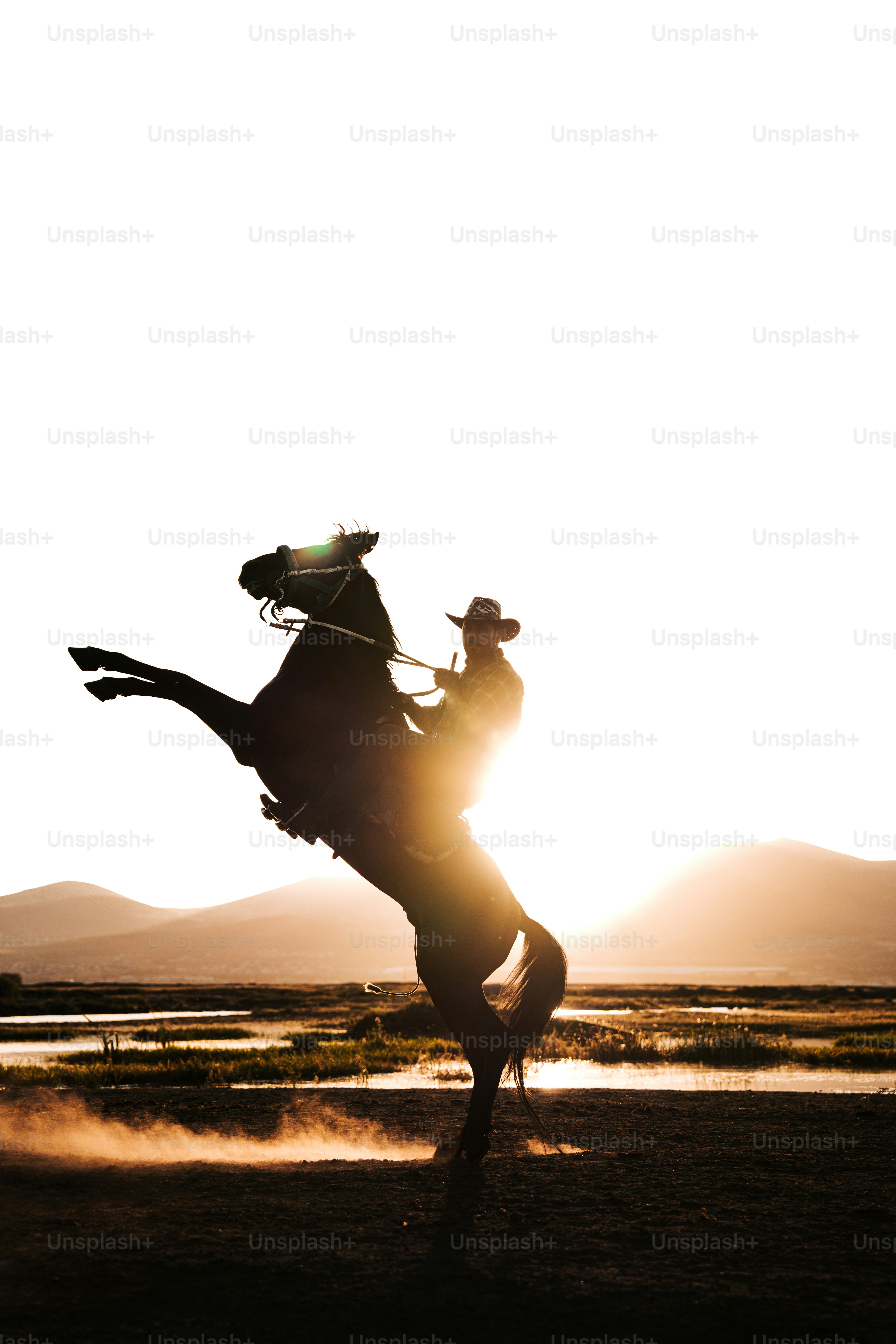 cavalier solitaire au coucher du soleil dans la pampa.