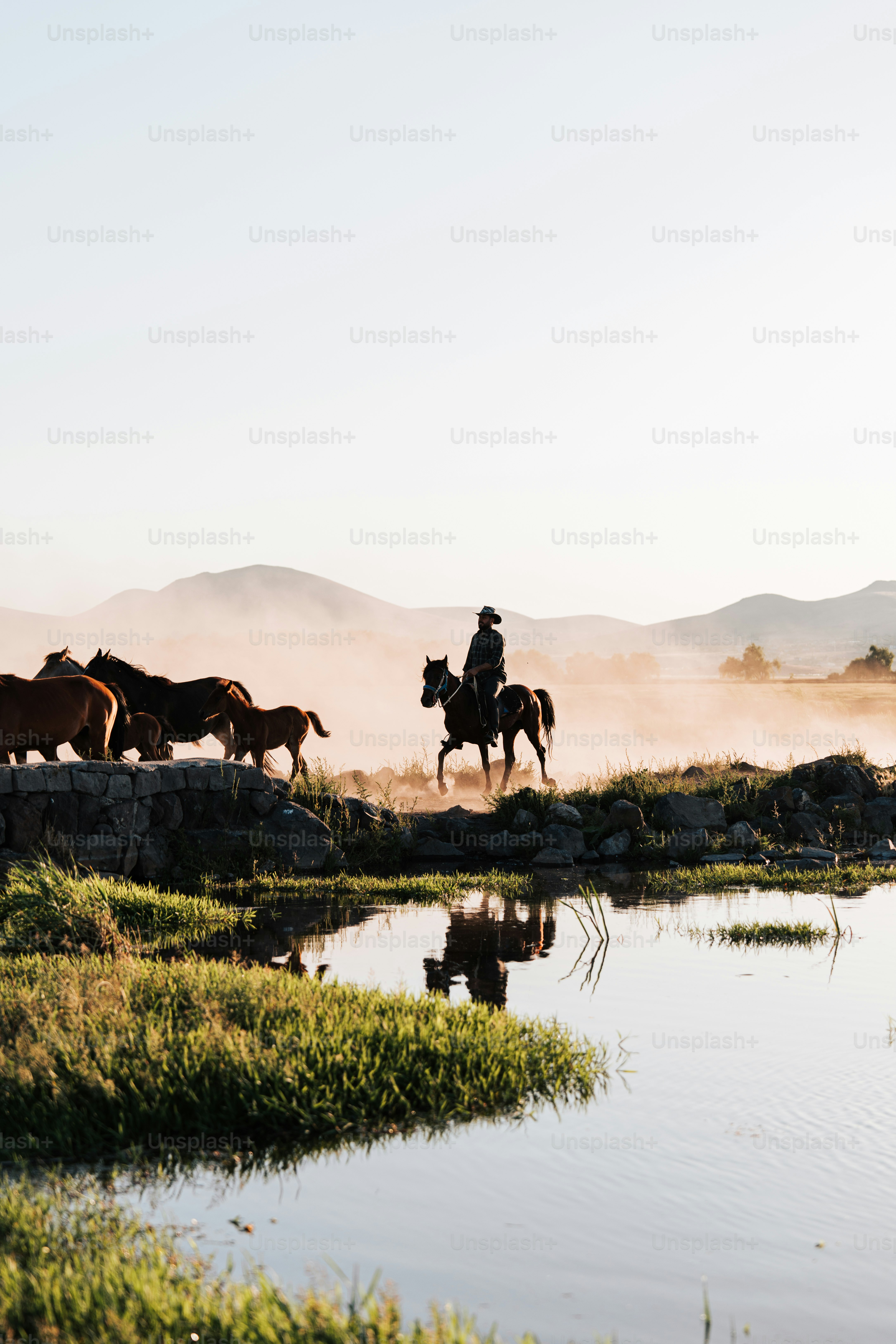 A group of people riding horses across a river