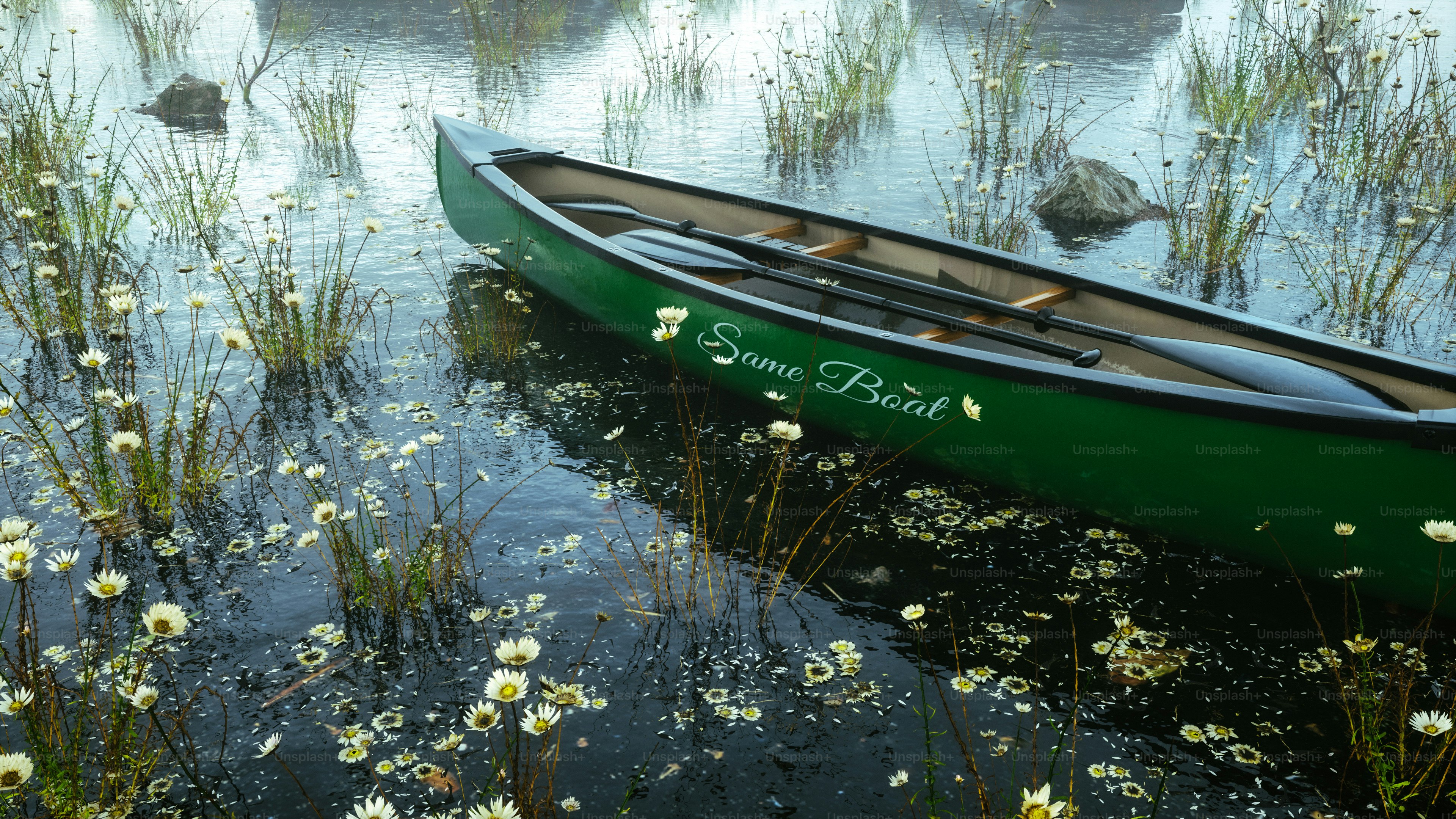 A green canoe sitting on top of a body of water