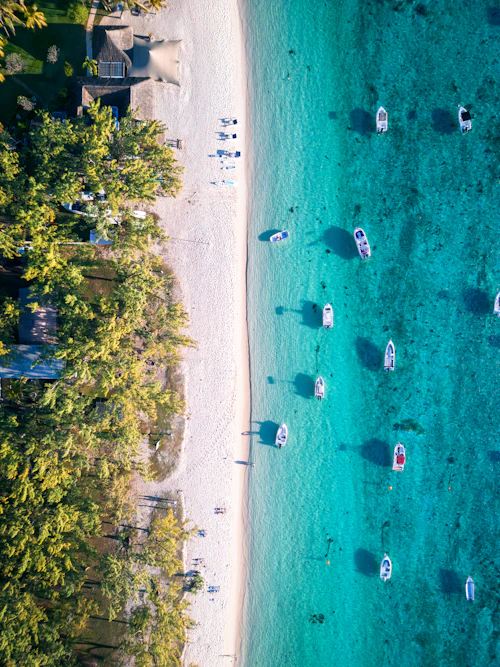 Honeymoon at Mauritius