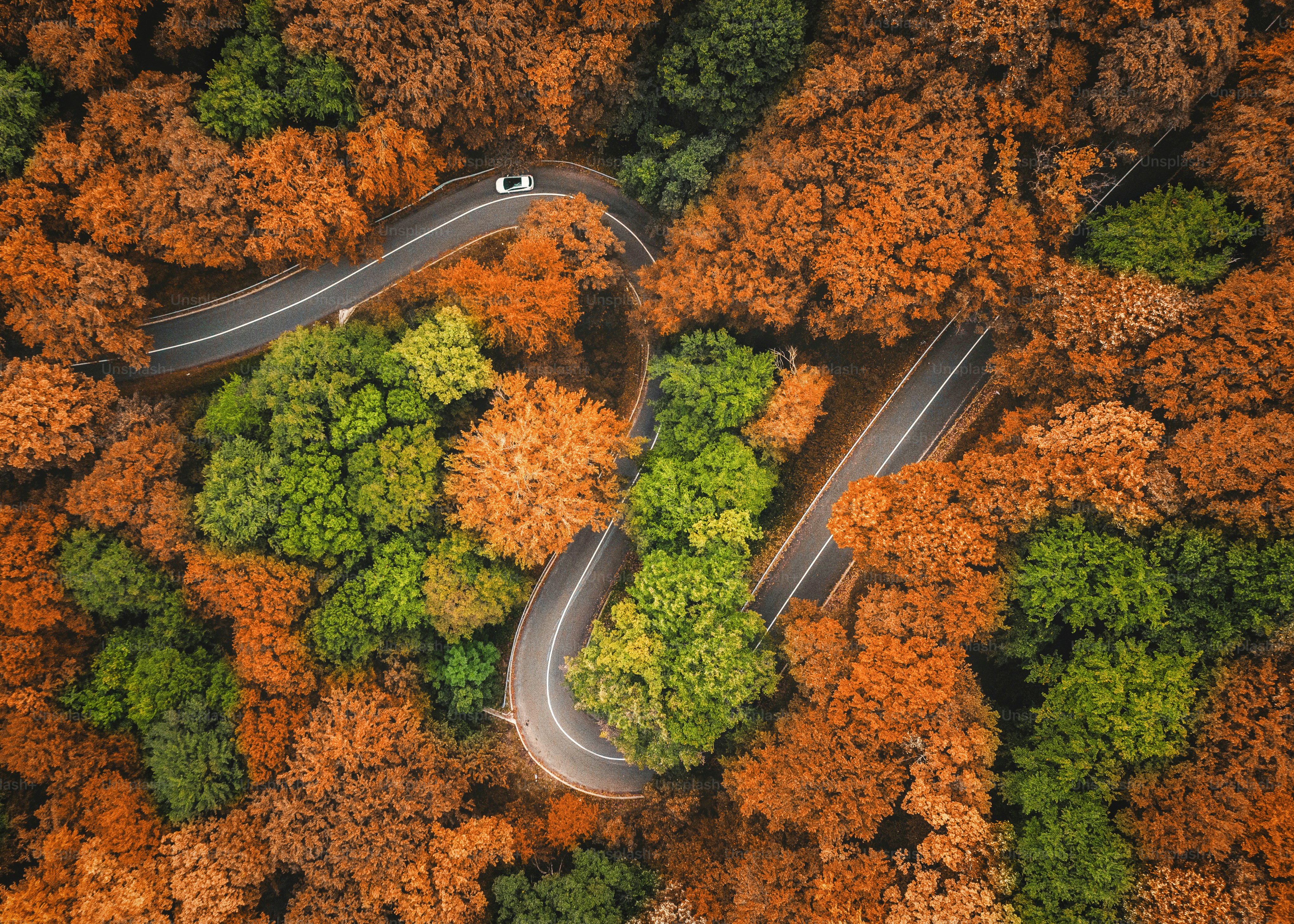 Aerial view of a winding road surrounded by trees