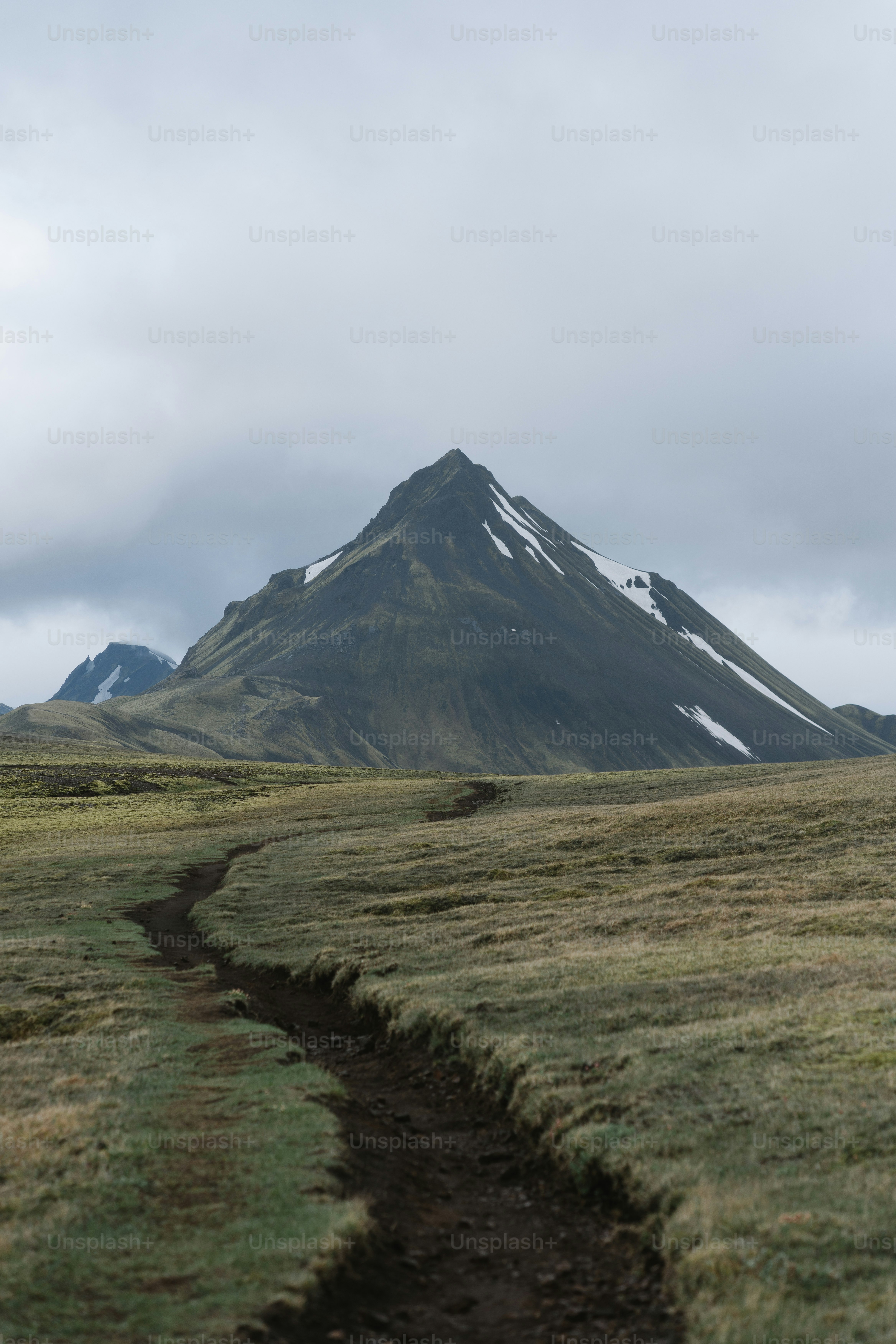 Un sentiero sterrato in mezzo a un campo erboso
