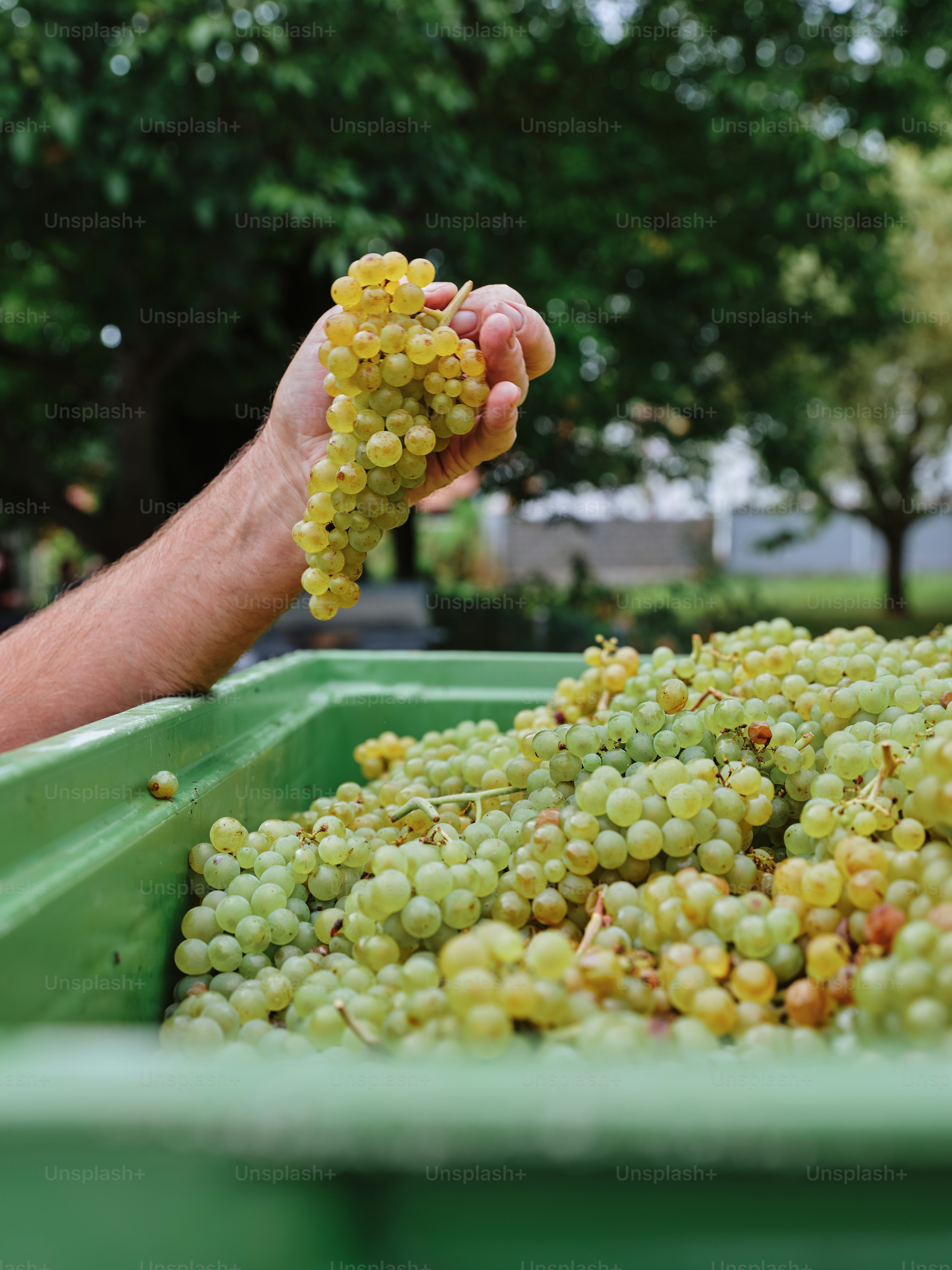대구토킹바, 대구룸바, 대구바알바, 대구착석바, 대구모던바