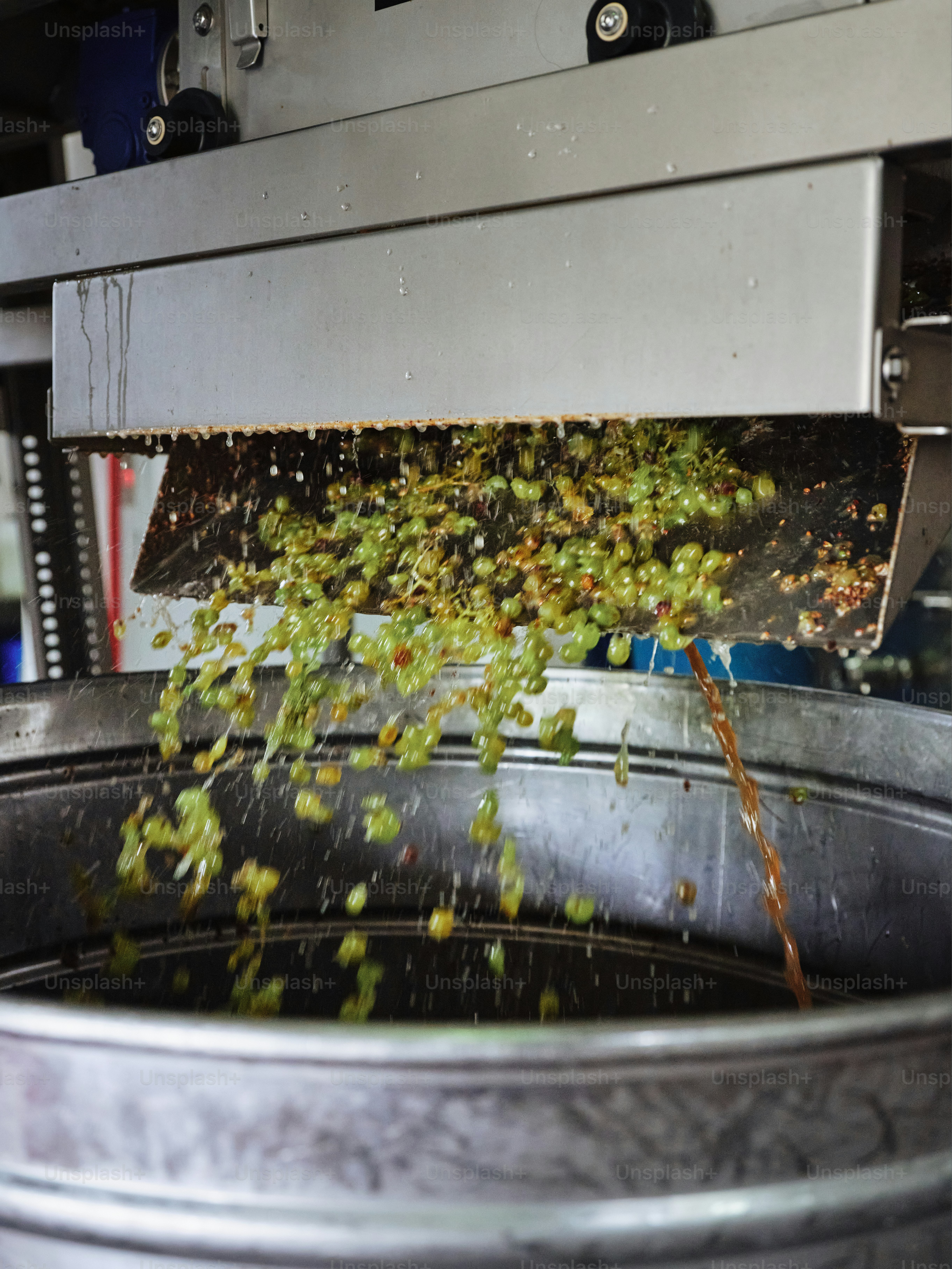 A bunch of plants that are in a pot