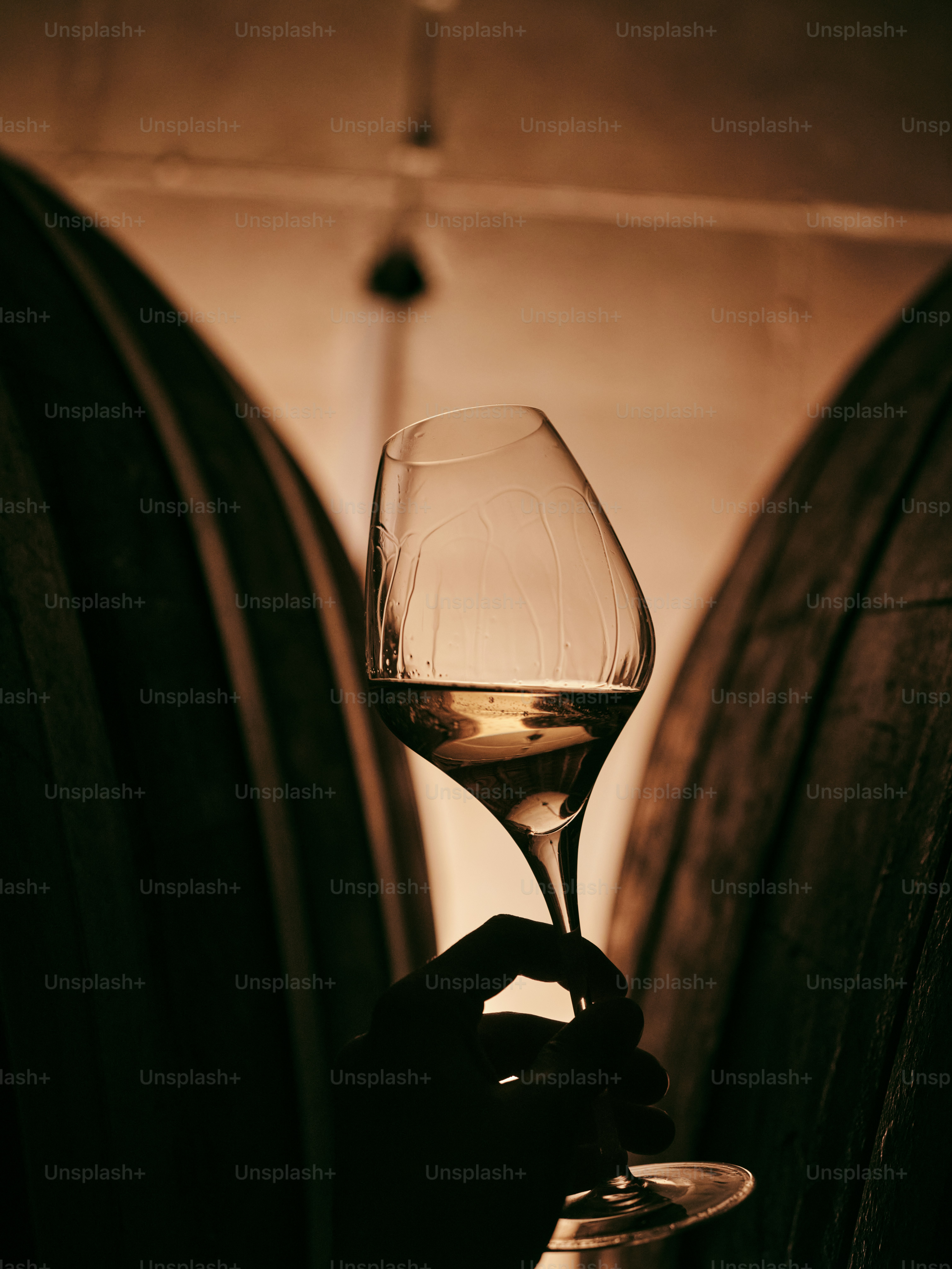 A person holding a wine glass in their hand