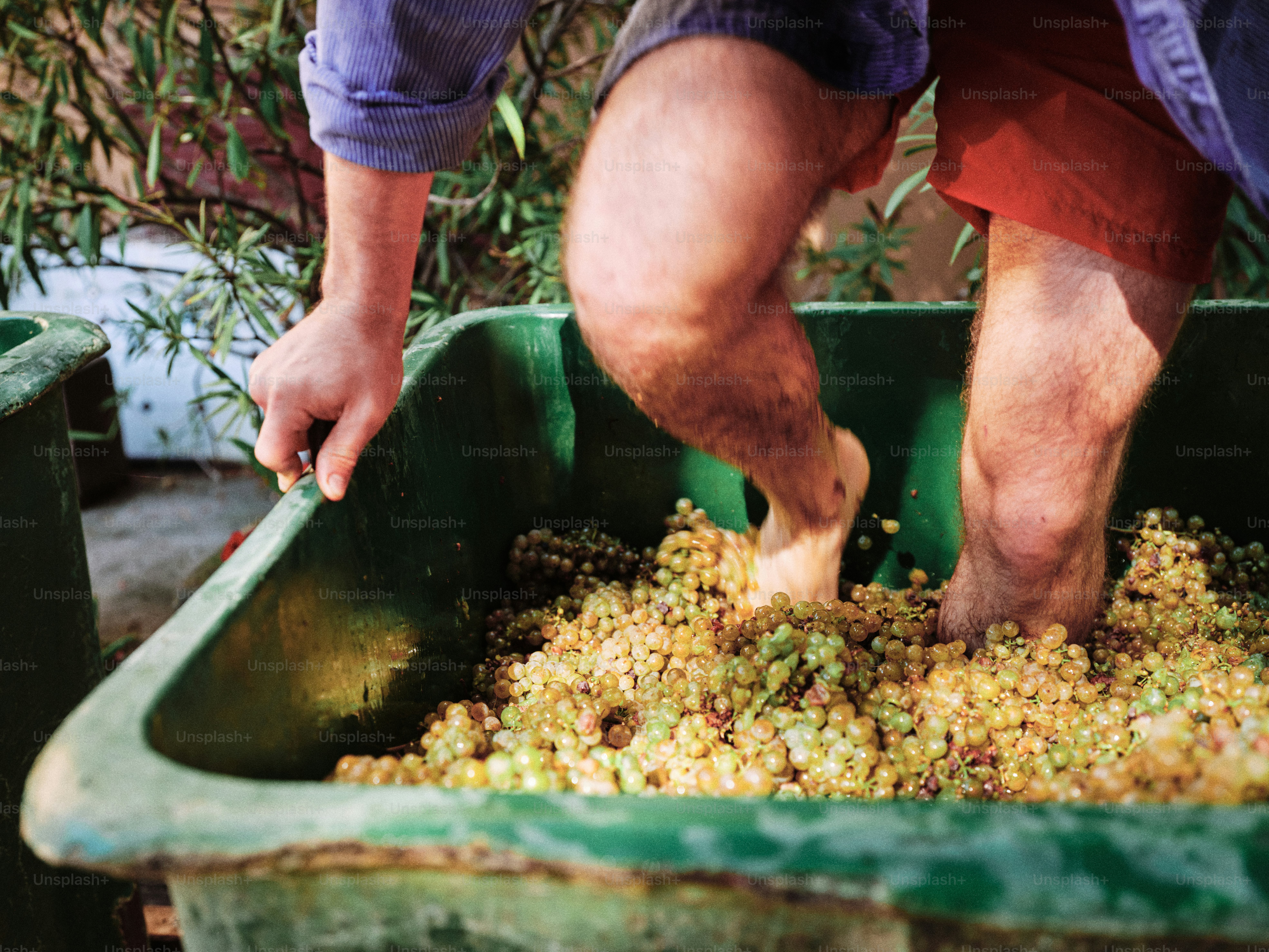Ein Mann, der Essen aus einer grünen Tonne schöpft