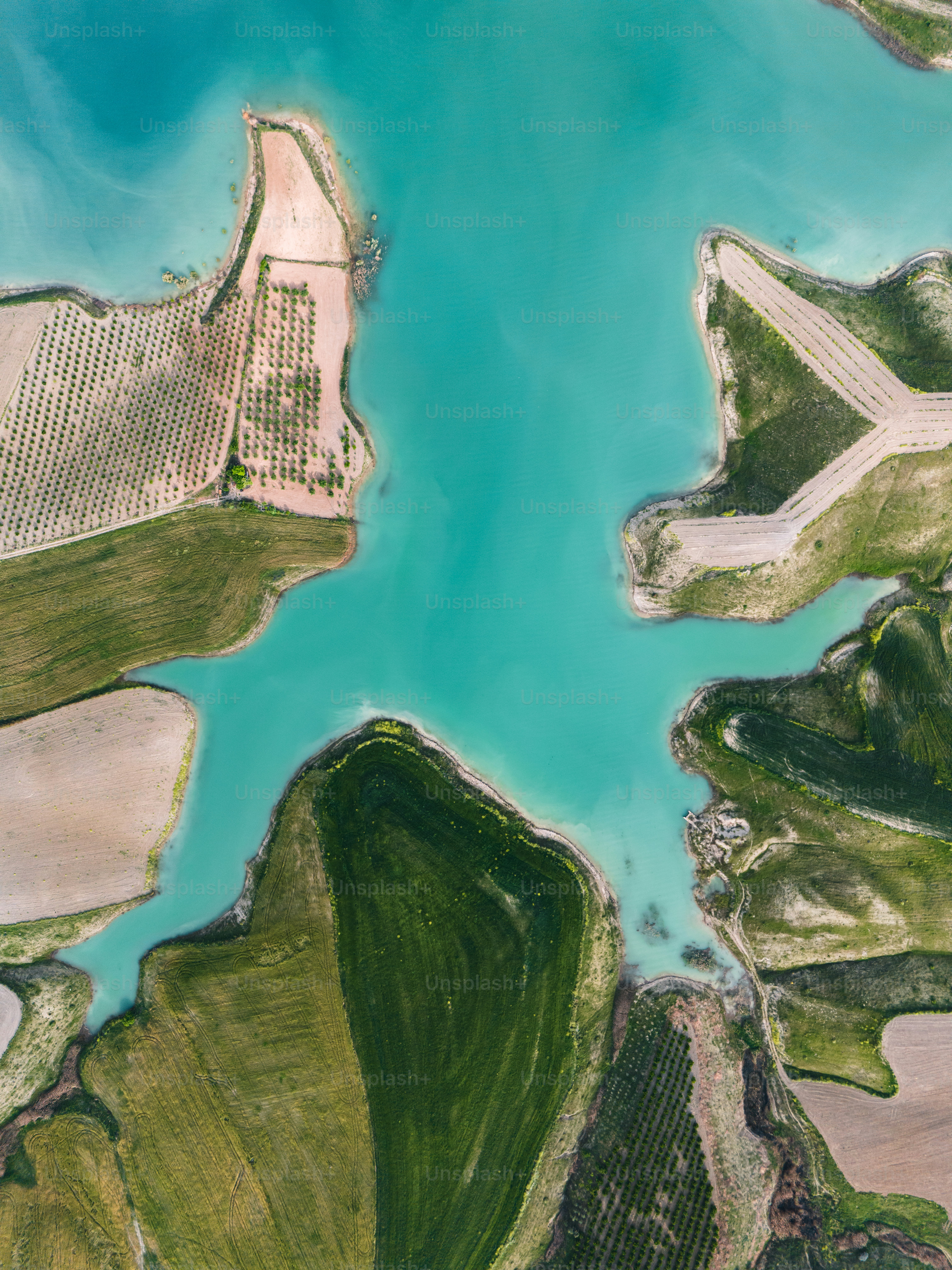 Pure Water Reservoir