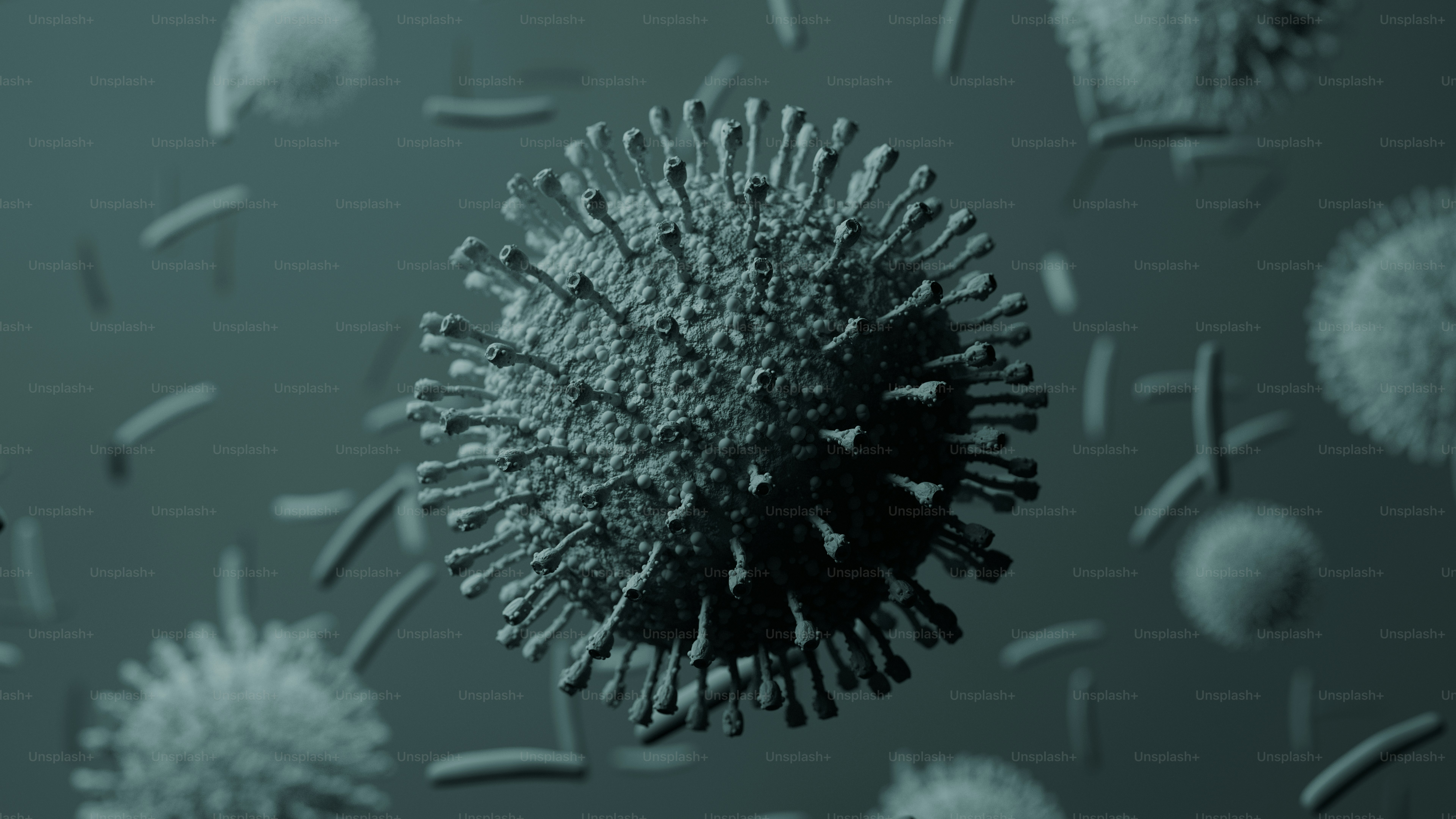 A black and white photo of a dandelion