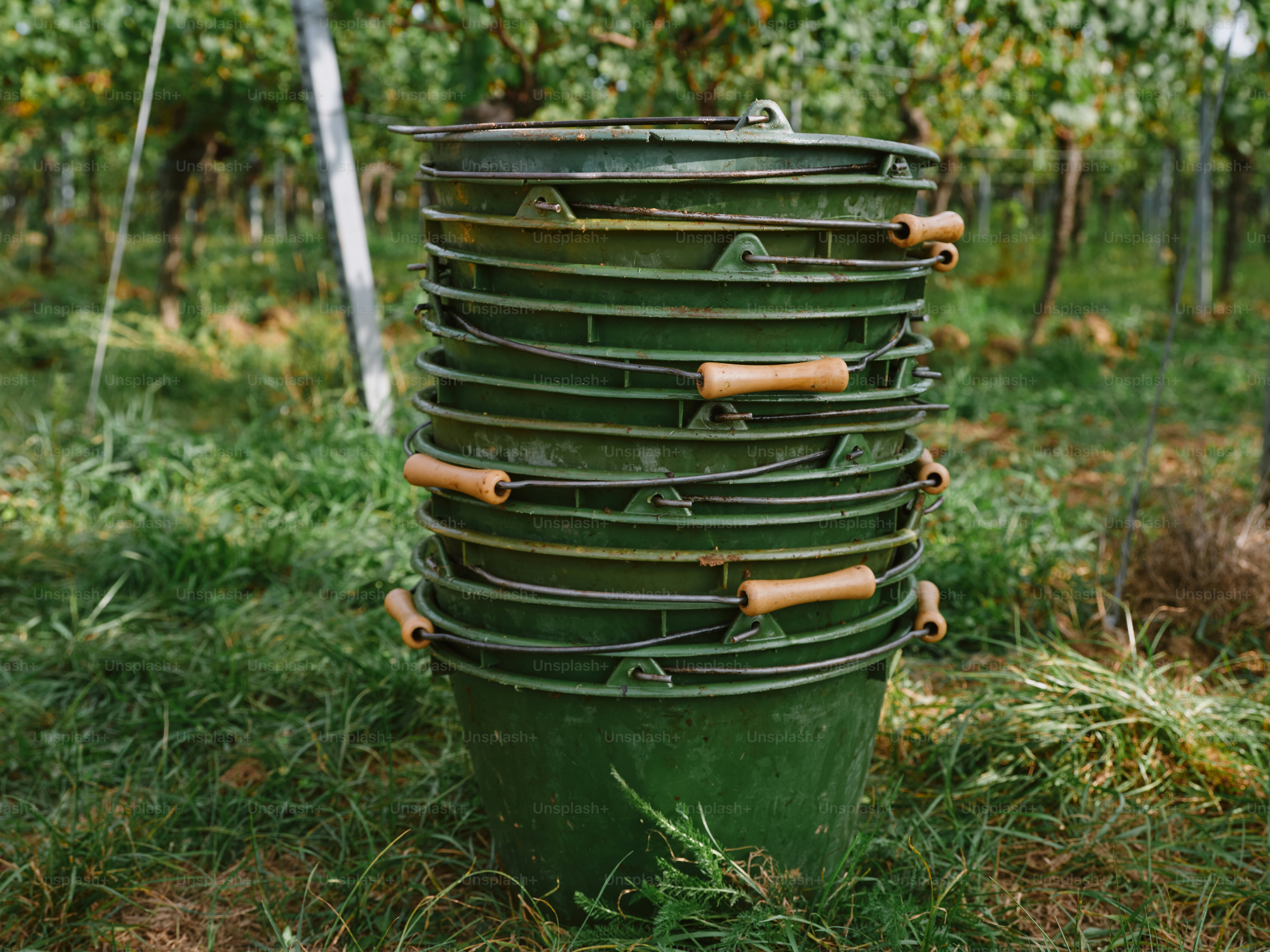 A stack of green buckets sitting on top of a lush green field