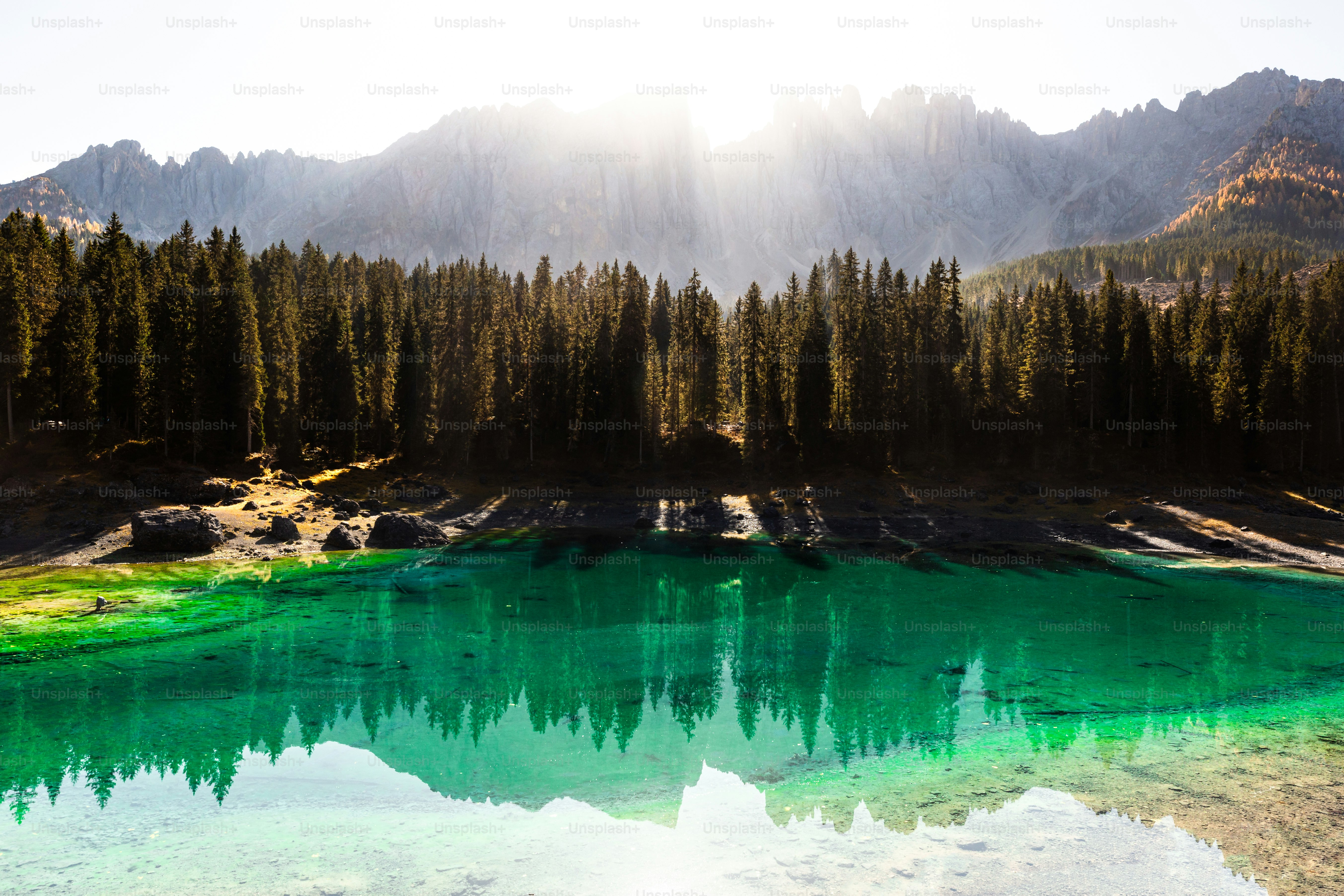 Ein grüner See, umgeben von Bergen und Bäumen