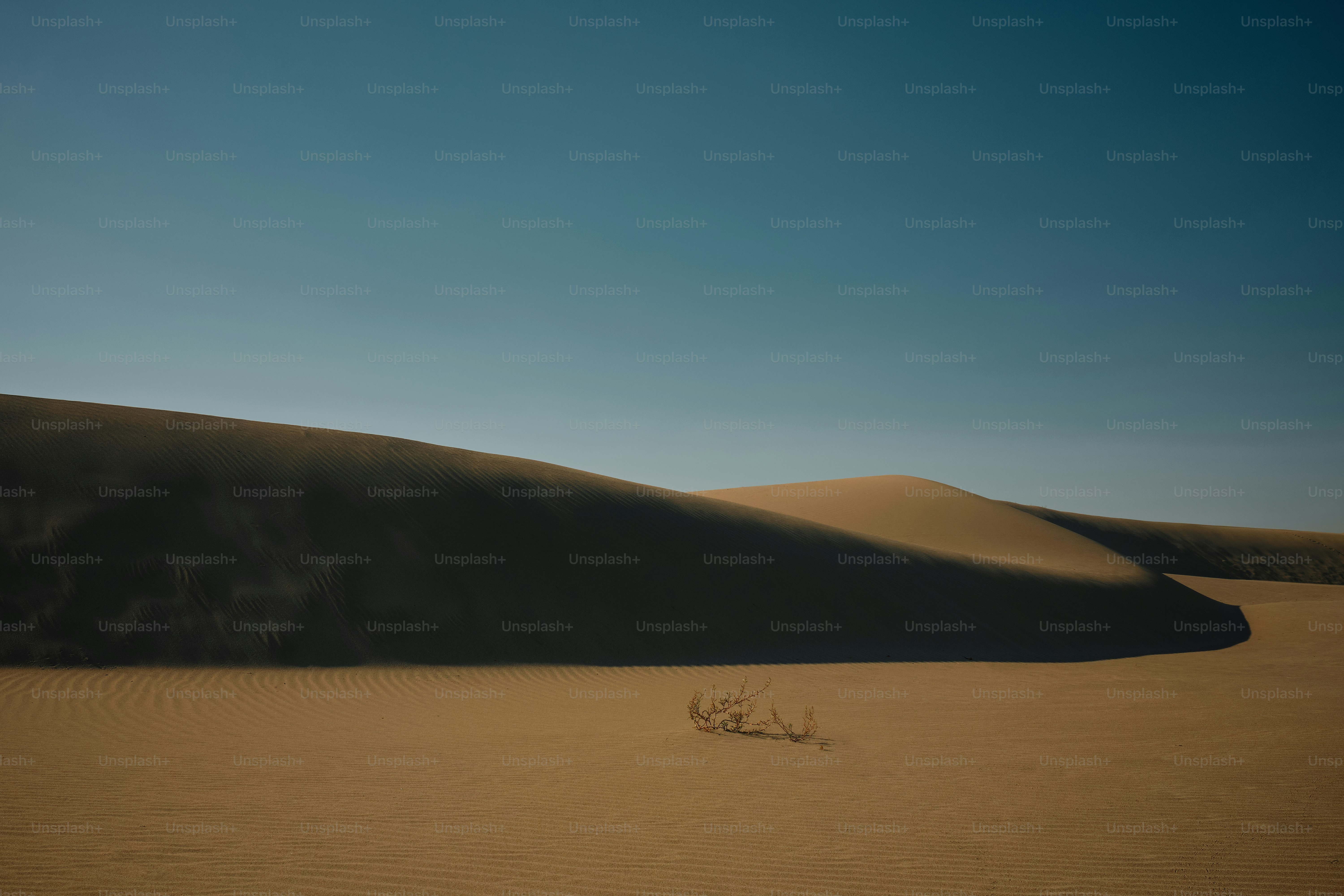 Minimalist image of sand dune