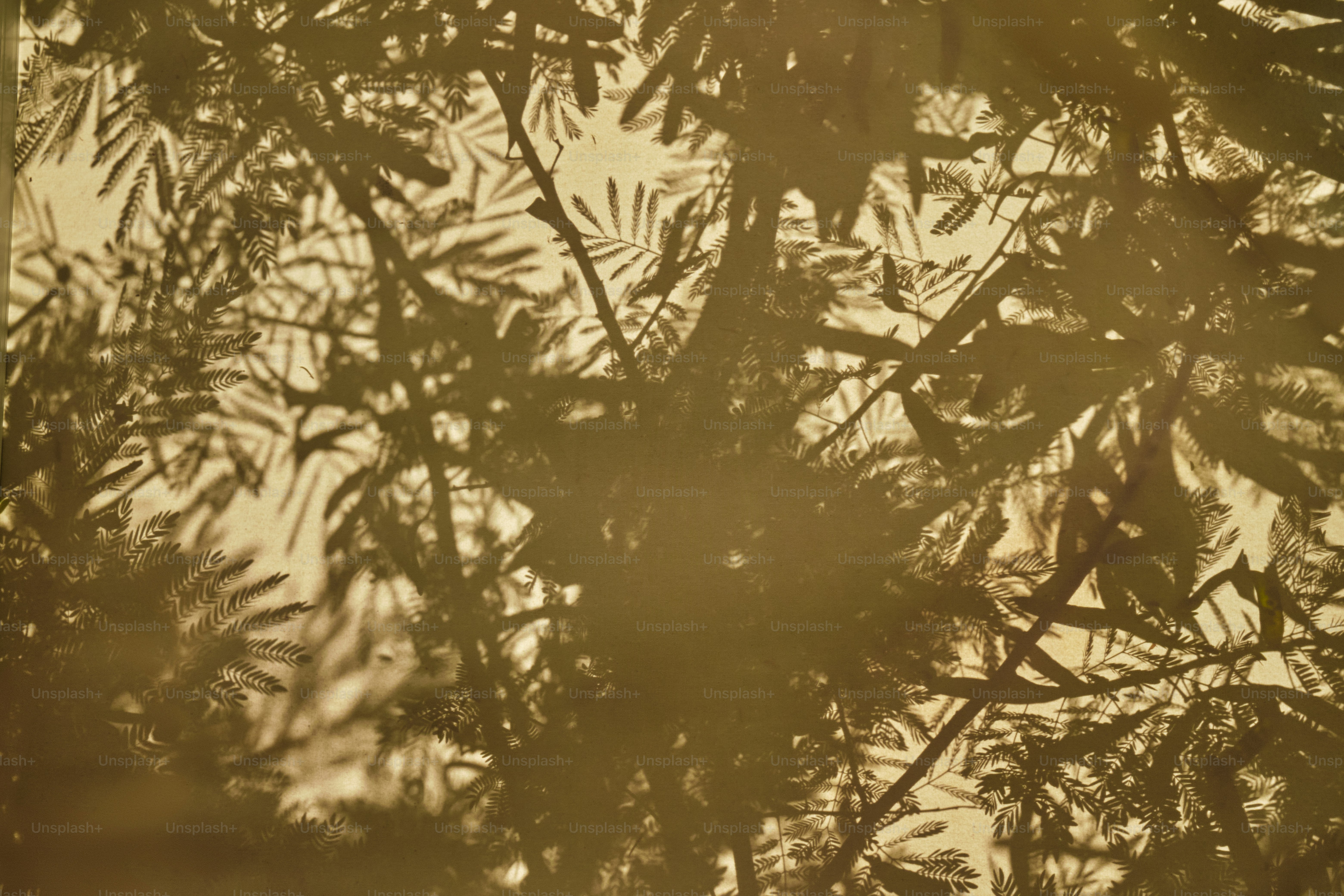 Un pájaro se posa en la rama de un árbol