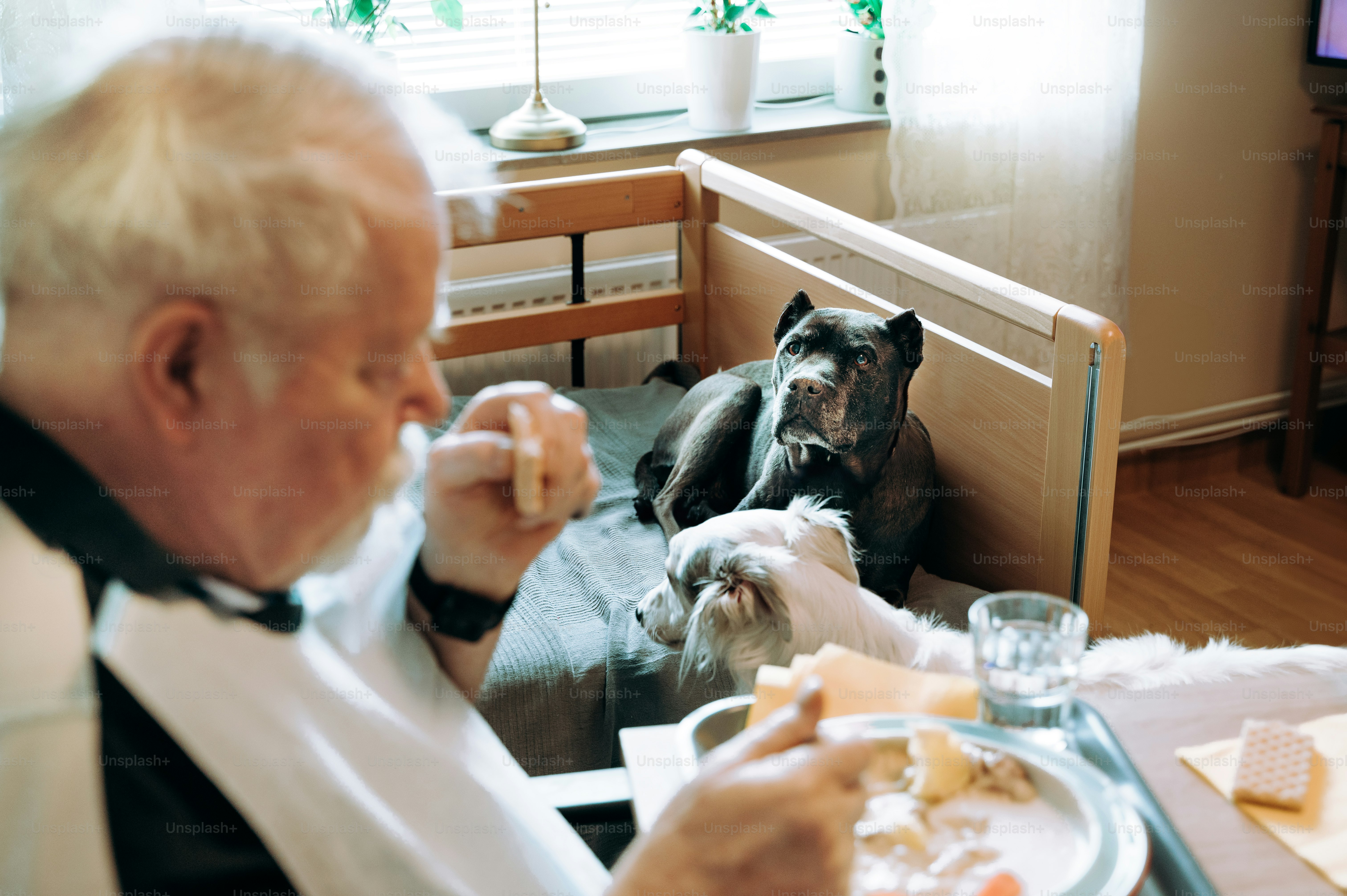 A man sitting at a table with a dog