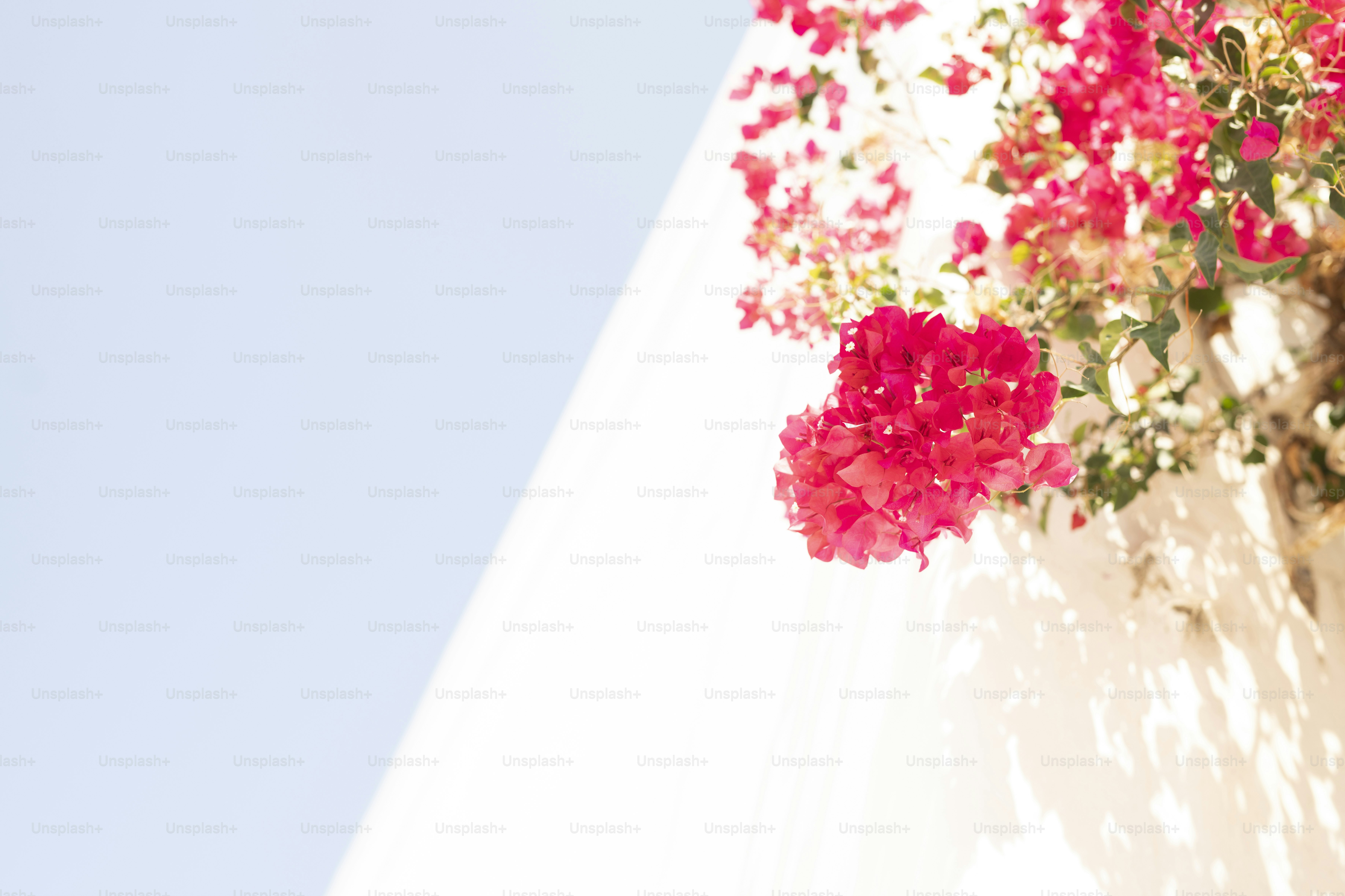 Ein Strauß roter Blumen, der an der Seite eines Gebäudes hängt