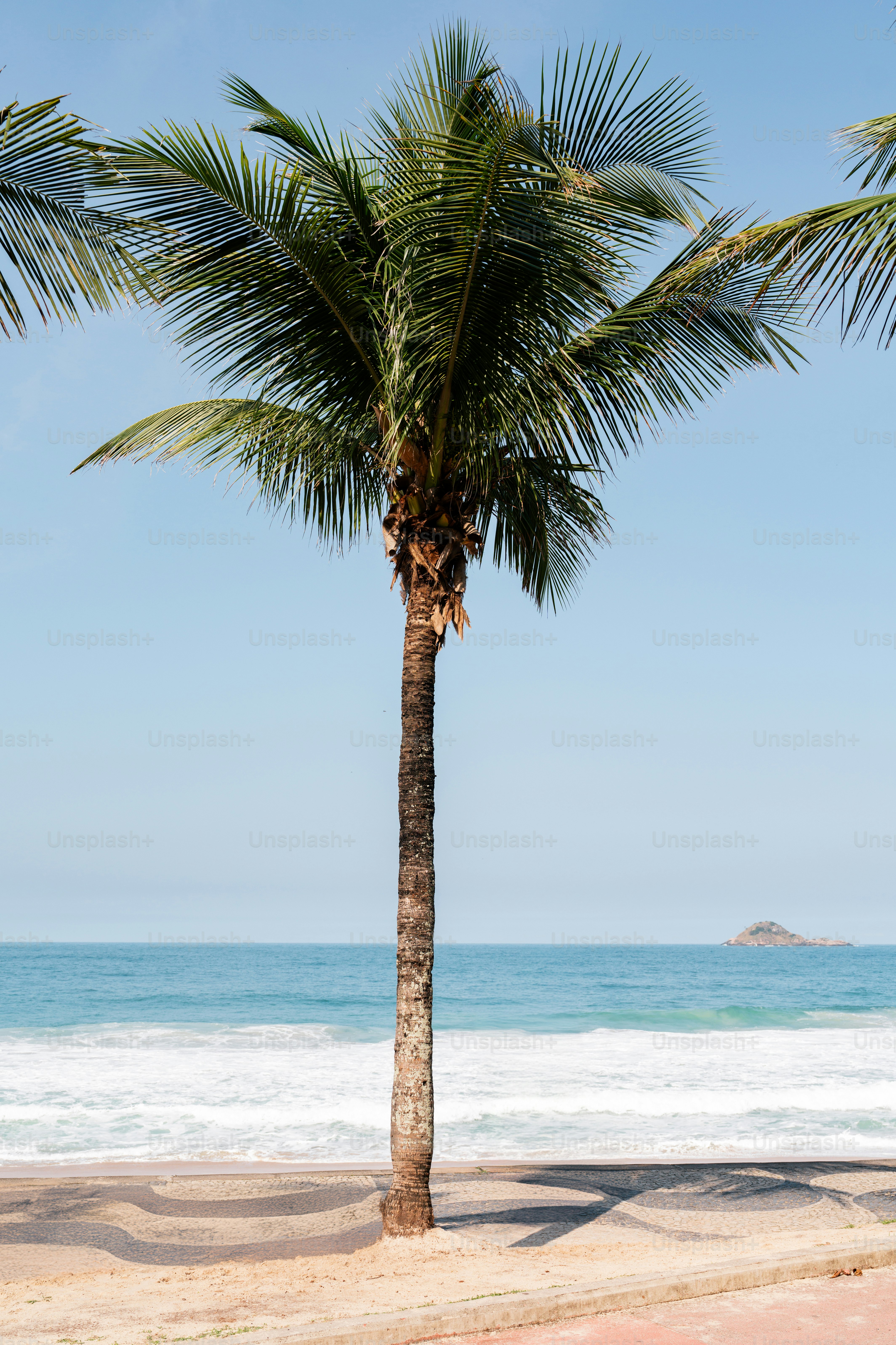 A couple of palm trees sitting on top of a sandy beach