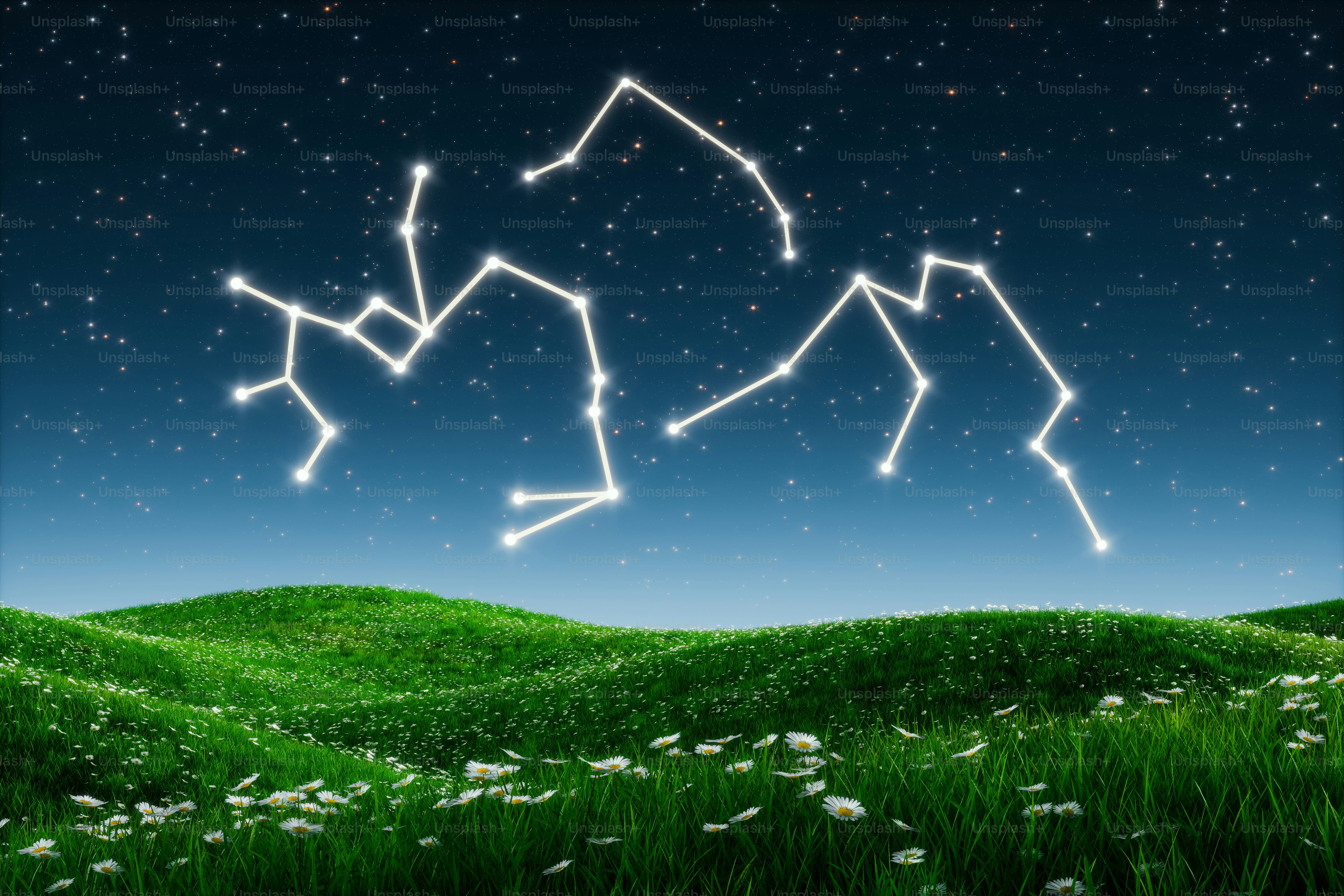 9 Organic Launch Strategies For Long-Term Success