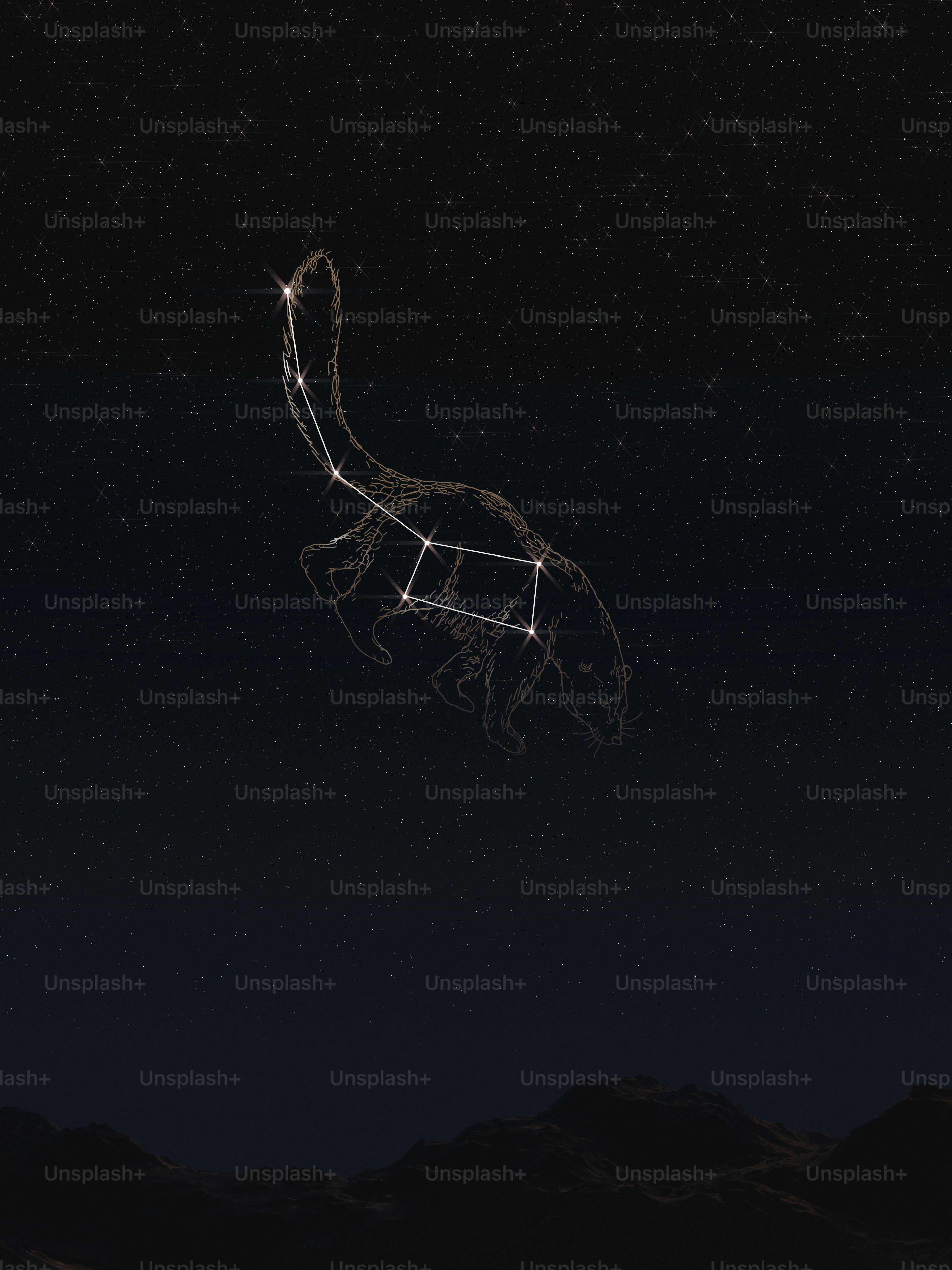 A drawing of a lizard in the night sky