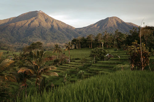 Lombok 3D2N Trip