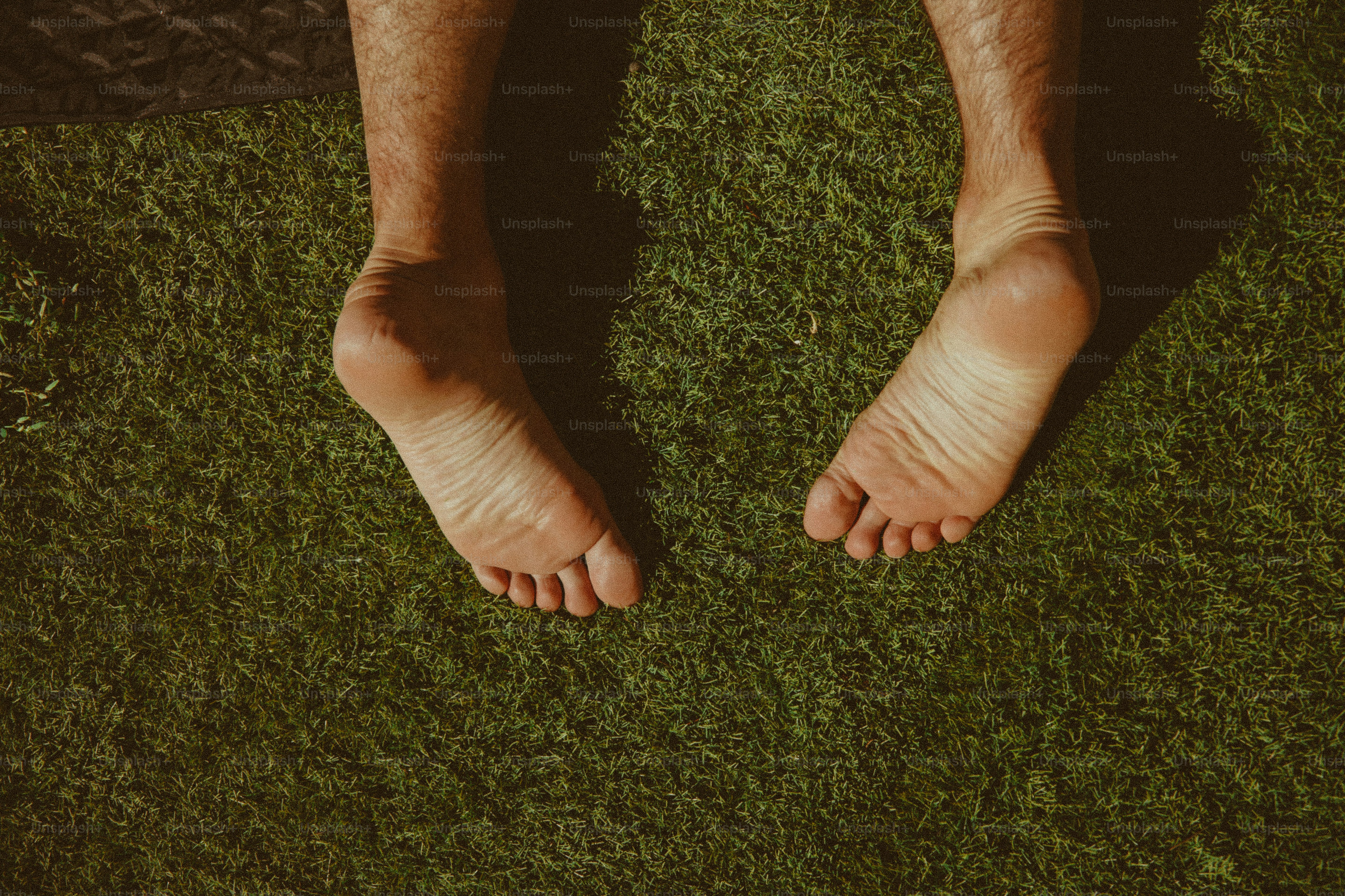 Choose from a curated selection of summer photos. Always free on Unsplash.