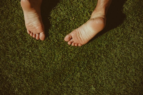 Cozy Accents with Sage Green Carpet