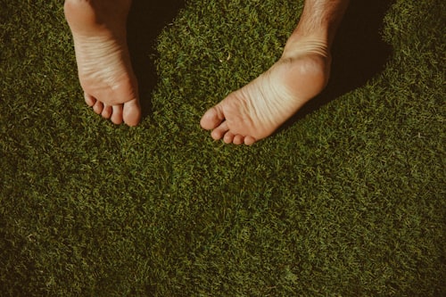 Sage Green Carpet with Complementary Accessories