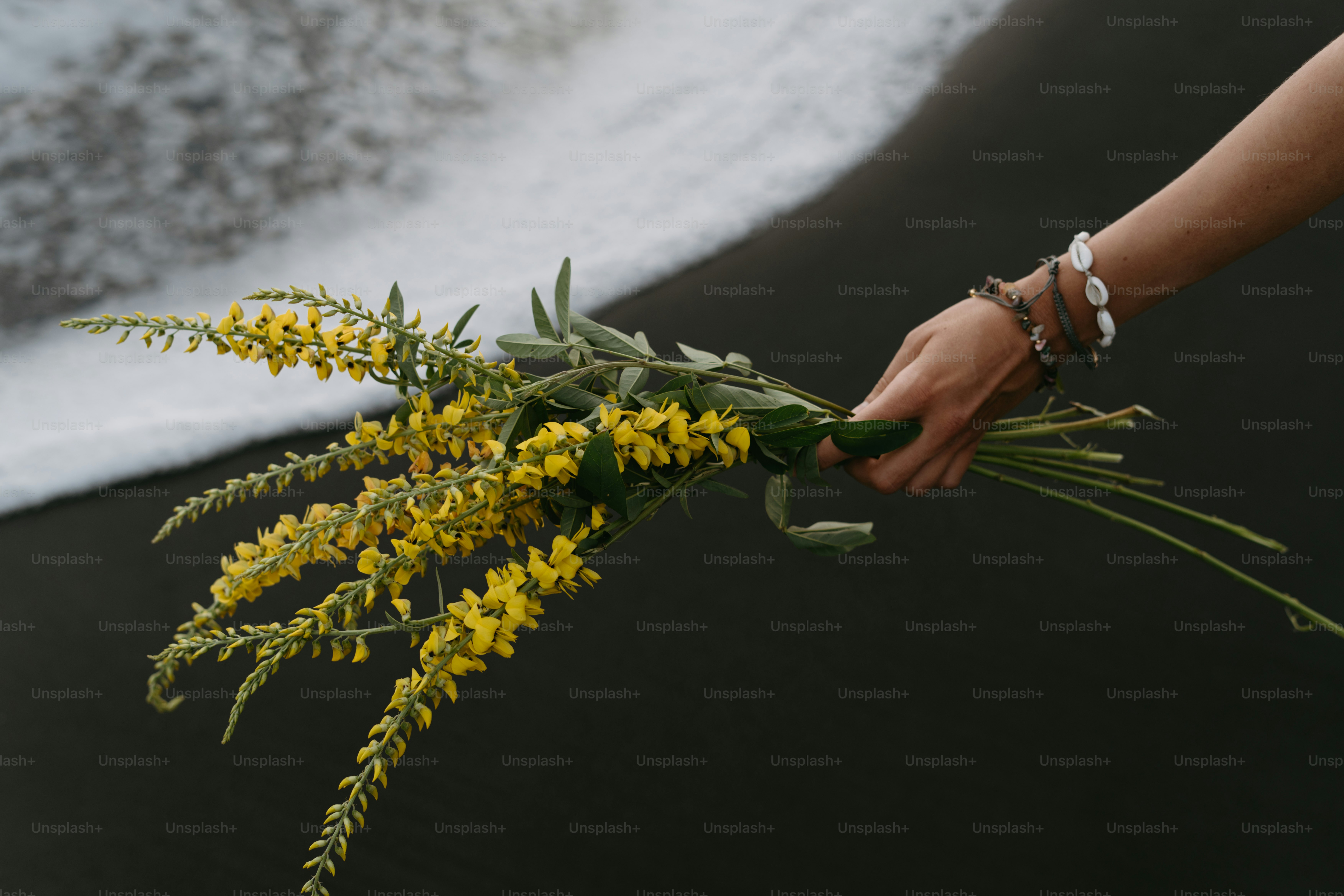 Eine Person, die einen Blumenstrauß in der Hand hält