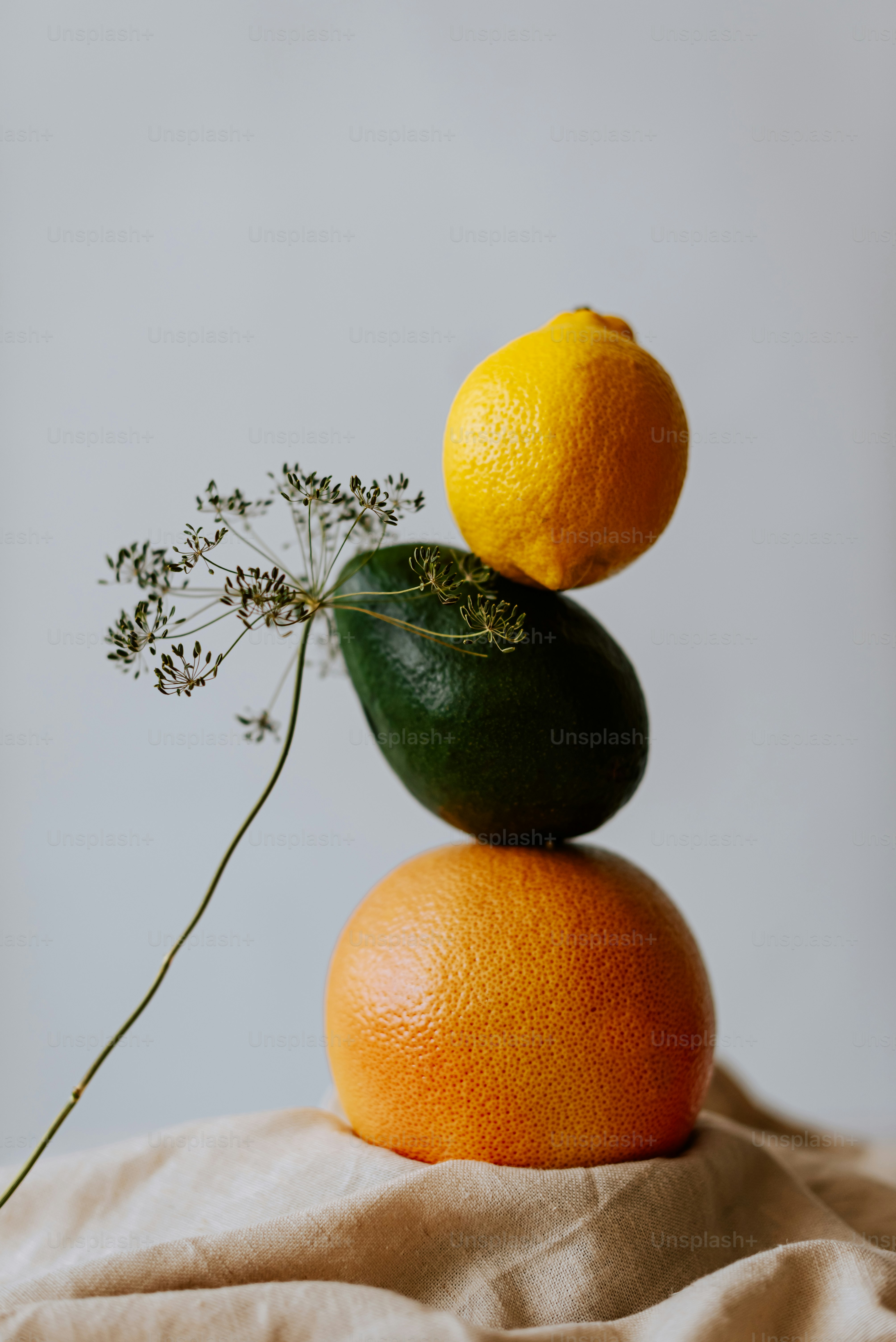 A stack of fruit sitting on top of each other photo – Orange and lemon ...