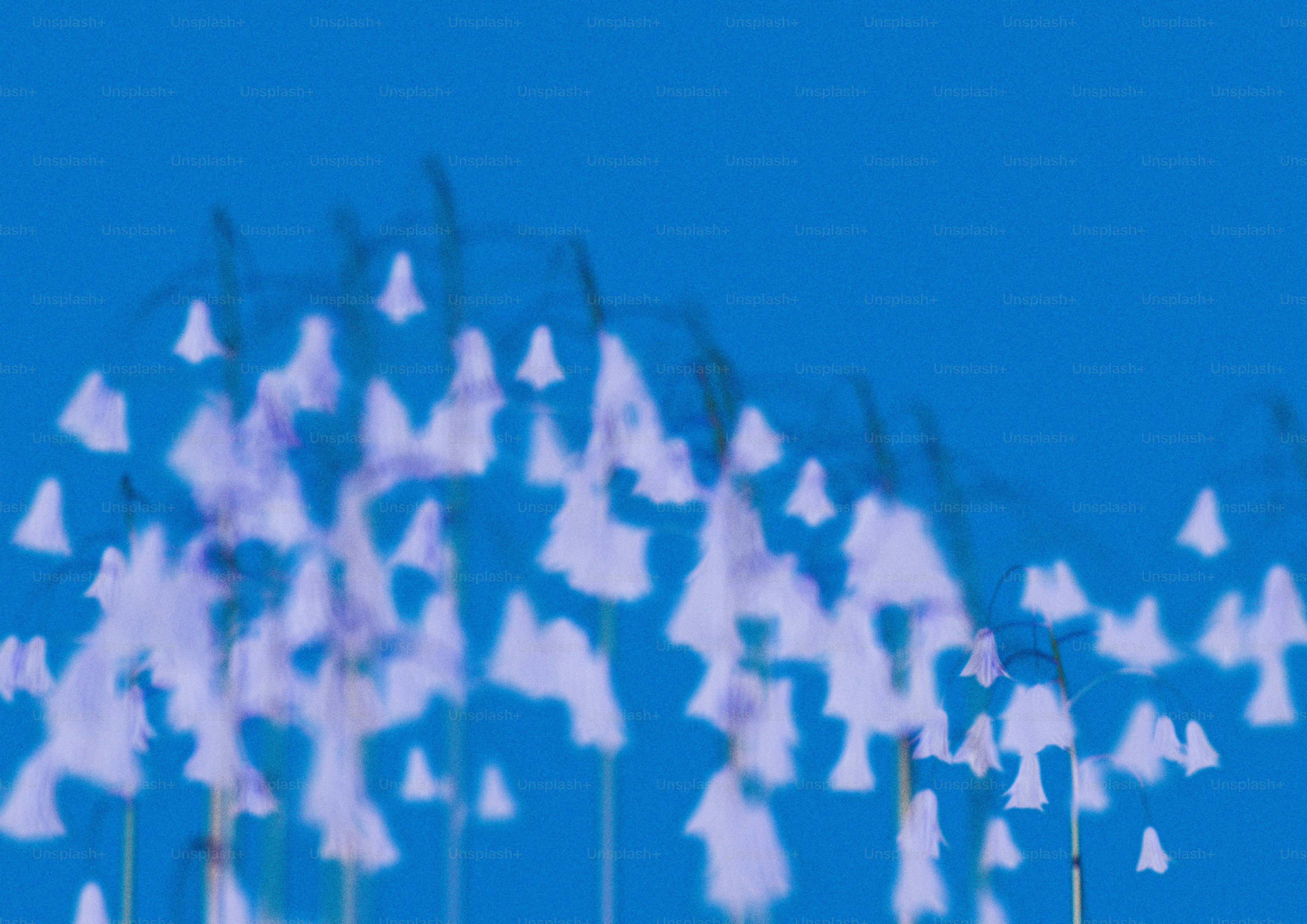 Ein Haufen weißer Schmetterlinge, die am Himmel fliegen